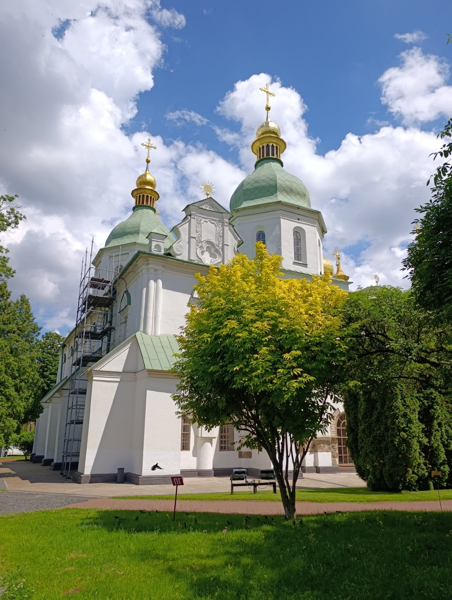 The image captures a frontal view of the Saint Sophia Cathedral in Kyiv, Ukraine, on a bright, partly cloudy day. The cathedral's white walls, green tiled roofs, and golden domes with crosses are prominent. Scaffolding is visible on the left side of the building, suggesting ongoing maintenance or restoration work.
In the foreground, lush green grass covers a manicured lawn, with a paved walkway running through it. A young tree with vibrant yellow-green leaves stands in the mid-ground, partially obscuring a portion of the cathedral. Behind the tree, two park benches are visible. To the right of the tree, a large, dense green tree partially obscures the cathedral's right side.
The sky is a brilliant blue, dotted with fluffy white cumulus clouds, indicating fair weather. A single bird is captured mid-flight near a red signpost with the Cyrillic letters "П" and "П" on it. Several smaller birds are scattered across the grass and walkway. The sun casts distinct shadows, suggesting it is late morning or early afternoon. The overall scene evokes a sense of peace and historical grandeur.