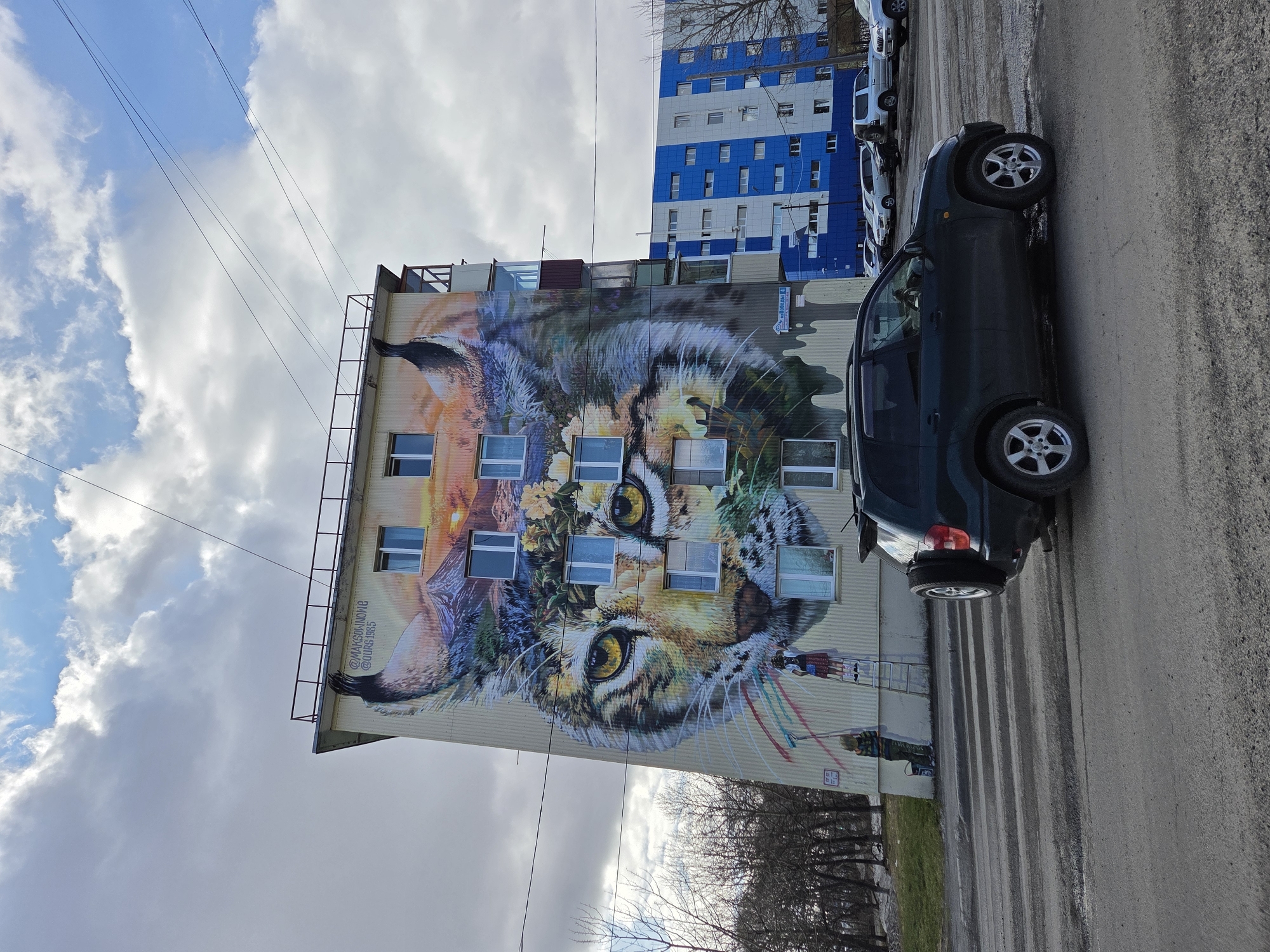 The image shows a tall building with a large mural of a cat's face painted on its side. The mural is colorful and detailed, and it incorporates the building's windows into the design. In front of the building, a dark green car is parked on a paved street. Other cars are parked in the background. The sky is cloudy. A building with a blue and white striped exterior is also visible in the background. The location is Unknown, Unknown.