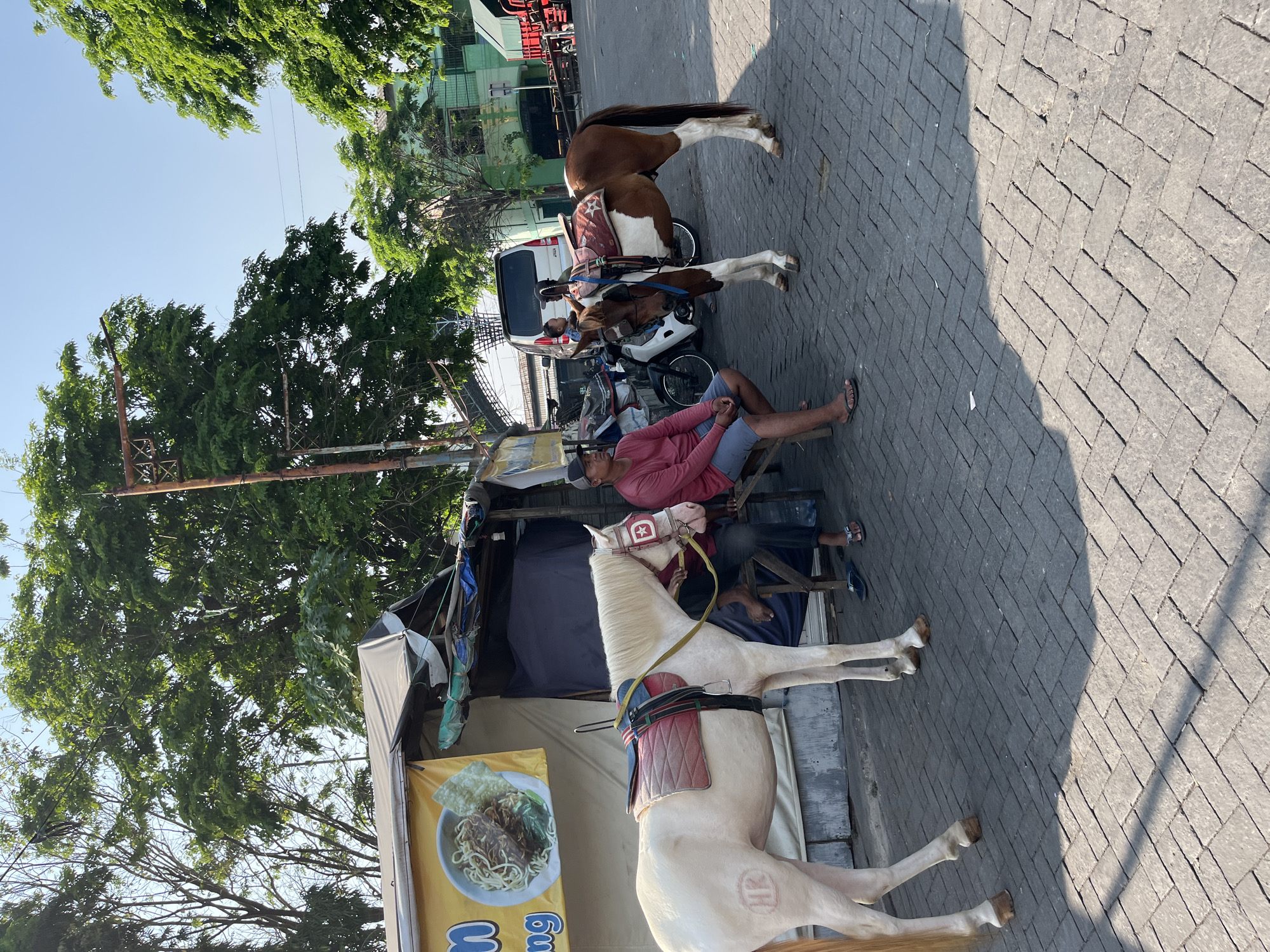 The image depicts a street scene in Juwet Kenongo, Indonesia, likely during the day. Two horses, one white and one brown and white, are tethered near a covered food stall. The white horse is in the foreground, wearing a saddle blanket. The brown and white horse is in the background, also equipped with a saddle.
Two men are present. One is seated on a wooden chair in front of the food stall, wearing a pink long-sleeved shirt and blue shorts. The second man is seated in a similar chair behind the brown and white horse, wearing a dark cap and a pink shirt. A white motorcycle is parked between the horses.
The food stall has a yellow banner featuring an image of a bowl of noodles. The ground is paved with brick-like stones, and shadows suggest the sun is casting a warm light. Trees with lush green foliage are visible in the background, and a building with a green facade can be seen further back. The overall atmosphere appears relaxed, possibly indicative of a marketplace or a tourist area. No other text is clearly legible besides the banner on the food stall.