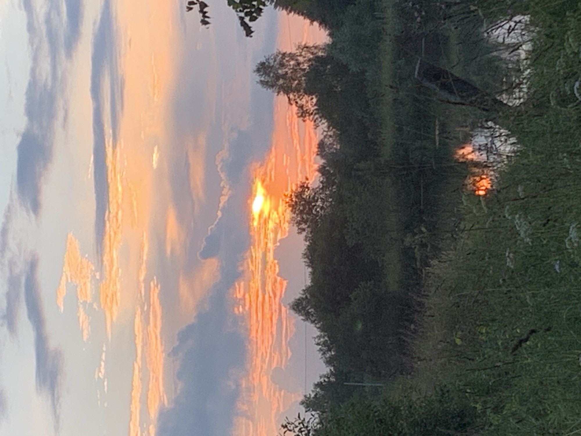 A serene sunset is captured in Zasechnyi, Russia, over a landscape characterized by lush greenery and calm waters. The sky is a canvas of warm, vibrant colors, with streaks of orange, pink, and yellow painting the horizon as the sun dips below the treeline. Fluffy clouds, tinged with the sunset's glow, add depth and texture to the sky.
In the foreground, tall grasses and wild vegetation sway gently, framing a tranquil body of water. The water's surface acts as a mirror, reflecting the fiery hues of the sky and the silhouettes of the surrounding trees. The trees themselves, a dense cluster of various species, form a natural backdrop to the scene, their dark forms contrasting with the bright sky.
To the right of the image, a branch with leaves extends into the frame, suggesting the presence of a tree or shrub. Further to the right, the dark, indistinct shapes of more trees complete the composition.
In the lower right quadrant, barely visible amidst the tall grass, are elements that suggest human presence. A campfire glows with an orange hue, and what appear to be tents or shelters are partially obscured by the vegetation. These elements hint at a campsite or a gathering in the wilderness.
The overall atmosphere is one of peaceful solitude, with nature's grandeur taking center stage. The sunset's beauty is amplified by the stillness of the environment, creating a moment of natural artistry.