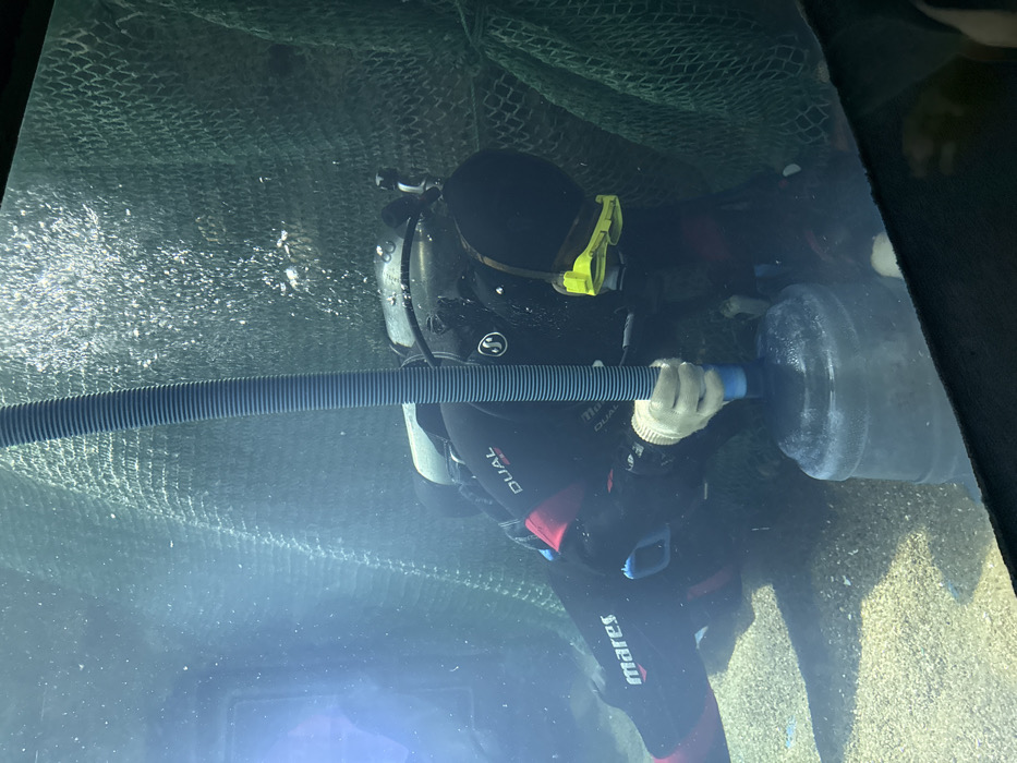 An underwater scene depicts a diver performing maintenance inside a large aquarium tank, likely at Qingdao Underwater World in Shinan District, China. The diver, attired in a black full-body wetsuit with red "mares" and "DUAL" branding, a black full-face diving mask with yellow accents, and white gloves, is positioned leaning forward near the tank's gravelly bottom. They are actively holding a rigid, blue, ribbed hose, with its distal end inserted into the top opening of a clear, cylindrical plastic carboy or water bottle resting on the substrate. The background features dark green or teal mesh netting, and numerous small bubbles are visible in the illuminated water column. Light-colored gravel forms the tank floor, observed through a viewing pane.
