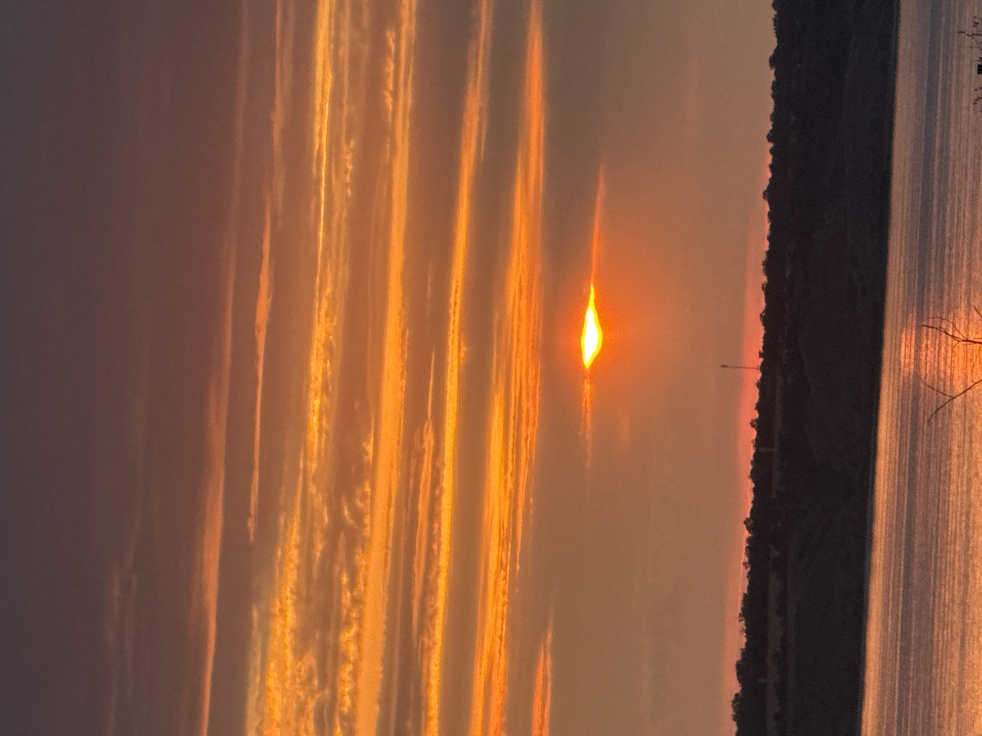 This image captures a sunset over a body of water, likely the Dnipro River, near Protopopivka, Ukraine. The sky is filled with horizontal bands of clouds painted in shades of orange, yellow, and purple, indicative of a dramatic twilight. The sun, partially obscured by a thin cloud layer, appears as a bright, elongated orb near the center of the frame, casting a warm glow. In the foreground, the water reflects the vibrant colors of the sky. A dark, silhouetted treeline stretches across the horizon, dotted with a few small structures, possibly including a distant communication tower. The overall scene is serene and natural, with no human figures or immediate activity visible.
