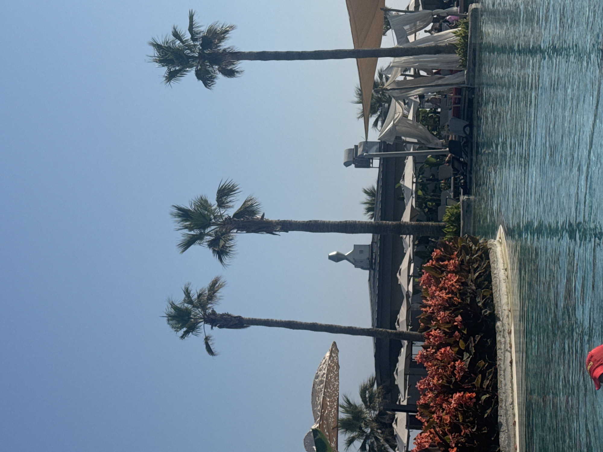 This is a photograph taken at a resort in Manavgat, Turkey, featuring a swimming pool in the foreground. Three tall palm trees are prominently visible against a clear blue sky. In the background, there is a building with a distinctive silver structure on its roof, and a row of white umbrellas and lounge chairs. To the right, there are white cabanas providing shade. A bed of vibrant orange flowers with dark green foliage borders the pool. The water in the pool has a turquoise hue and shows ripples. A person wearing a red hat is partially visible in the lower left corner of the pool.