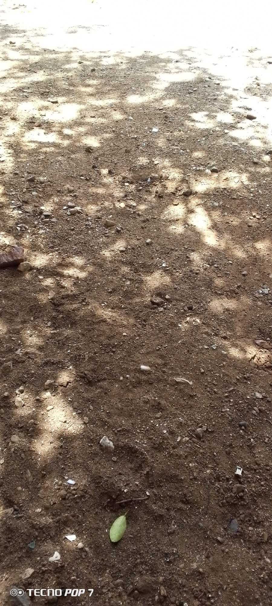 The image shows a close-up view of a patch of dry, dusty ground covered in small stones and pebbles. Dappled sunlight filters through overhead foliage, creating patterns of light and shadow on the earth. There is a single, small green leaf lying on the ground in the lower-middle section of the image. The foreground of the image features the text "TECNO POP 7" in white, indicating the device used to capture the photograph. The scene appears to be an outdoor environment, possibly a path or unpaved area. No people, animals, or specific urban features are visible that would definitively place it in Altagracia, Venezuela.