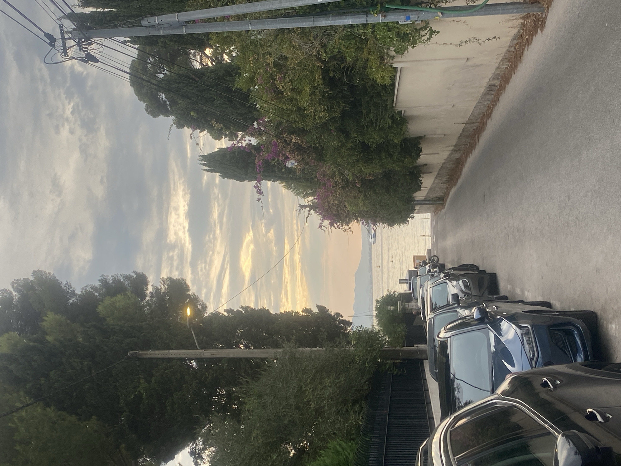 A paved street slopes gently downhill towards a body of water, lined with parked cars on the left and a wall and lush vegetation on the right. Tall trees, including cypress and pine varieties, dominate the landscape on both sides of the street, with some flowering bushes adding splashes of purple. Utility poles with wires are visible, one with a street lamp. The sky is overcast with patches of muted sunlight breaking through, suggesting either early morning or late afternoon. In the distance, across the water, a hazy coastline with mountains is visible, along with a few boats. The scene appears to be in a quiet, residential area. Based on the architectural style, vegetation, and proximity to the water, this scene is likely located in Antibes, France, specifically in an area like Cap d'Antibes, known for its scenic coastal roads and upscale residences. No people are present in the image, and no actions or interactions are depicted.