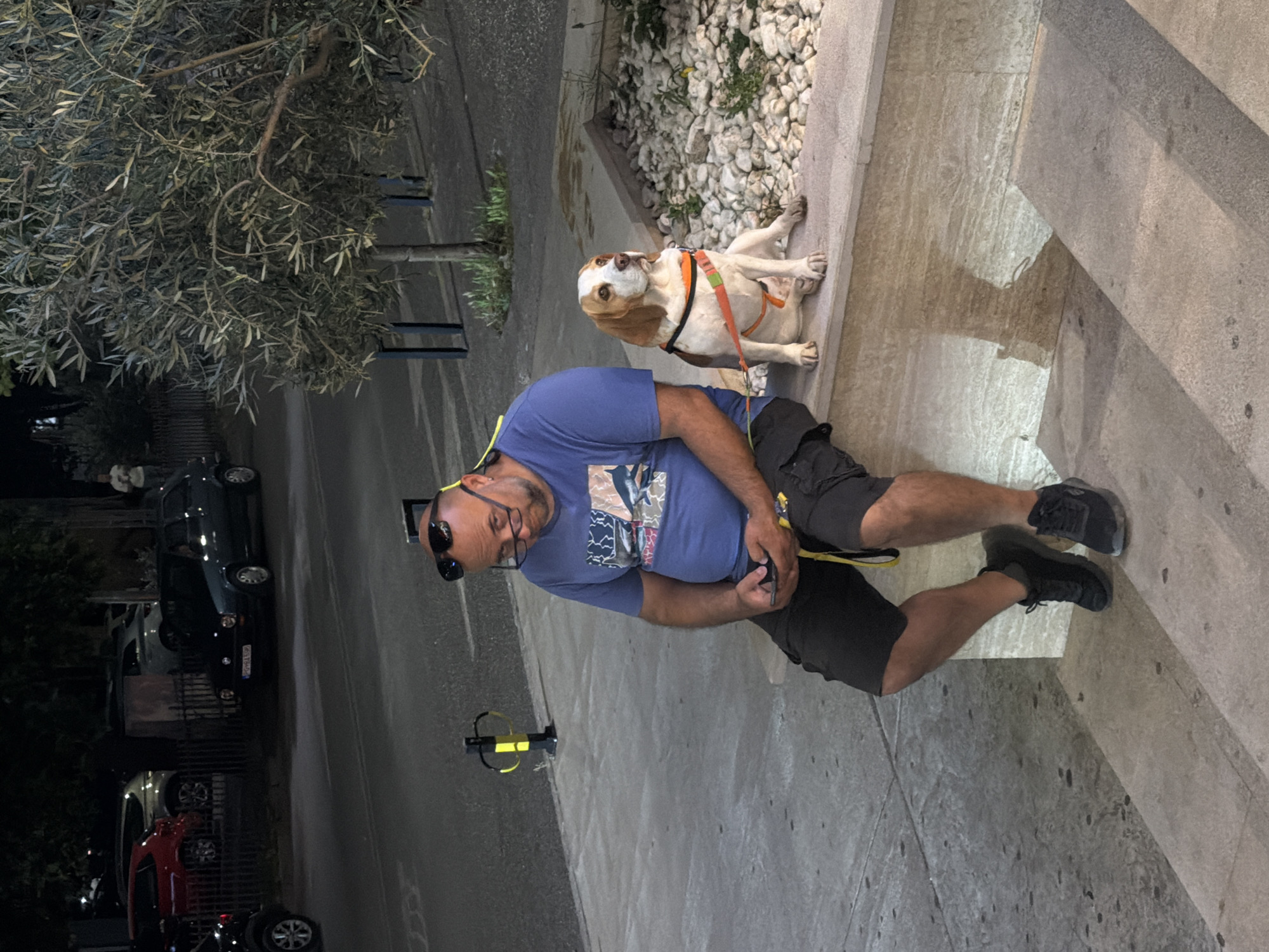 A man and a dog are seated on a sidewalk in Podgorica, Montenegro. The man is light-skinned, bald, and has a beard. He is wearing sunglasses perched on his head, a blue t-shirt, and dark shorts. The dog is light brown and white, wearing a harness. The sidewalk is paved and next to a raised area covered in small white rocks and some greenery. There are several cars parked on the street behind the sidewalk. The photo was taken at night, with artificial lighting illuminating the scene.