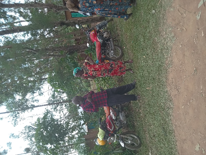 Memory