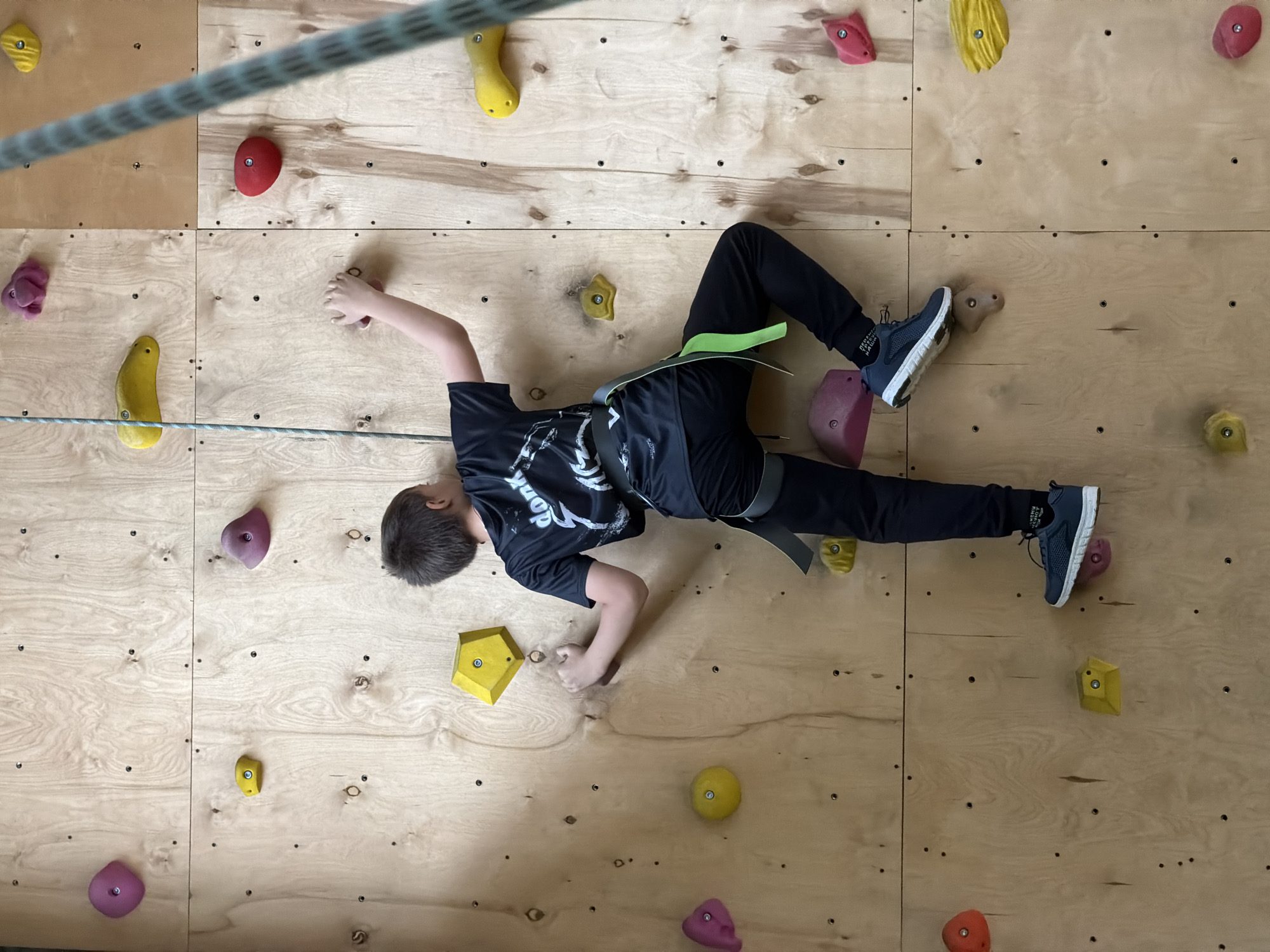A child is rock climbing on a plywood wall with multi-colored climbing holds. The child is wearing a black t-shirt with a white design, black pants, and blue sneakers. A climbing harness and rope are visible. The location is indoors. There are visible bolt holes in the climbing wall. The city and country cannot be determined from the image.
