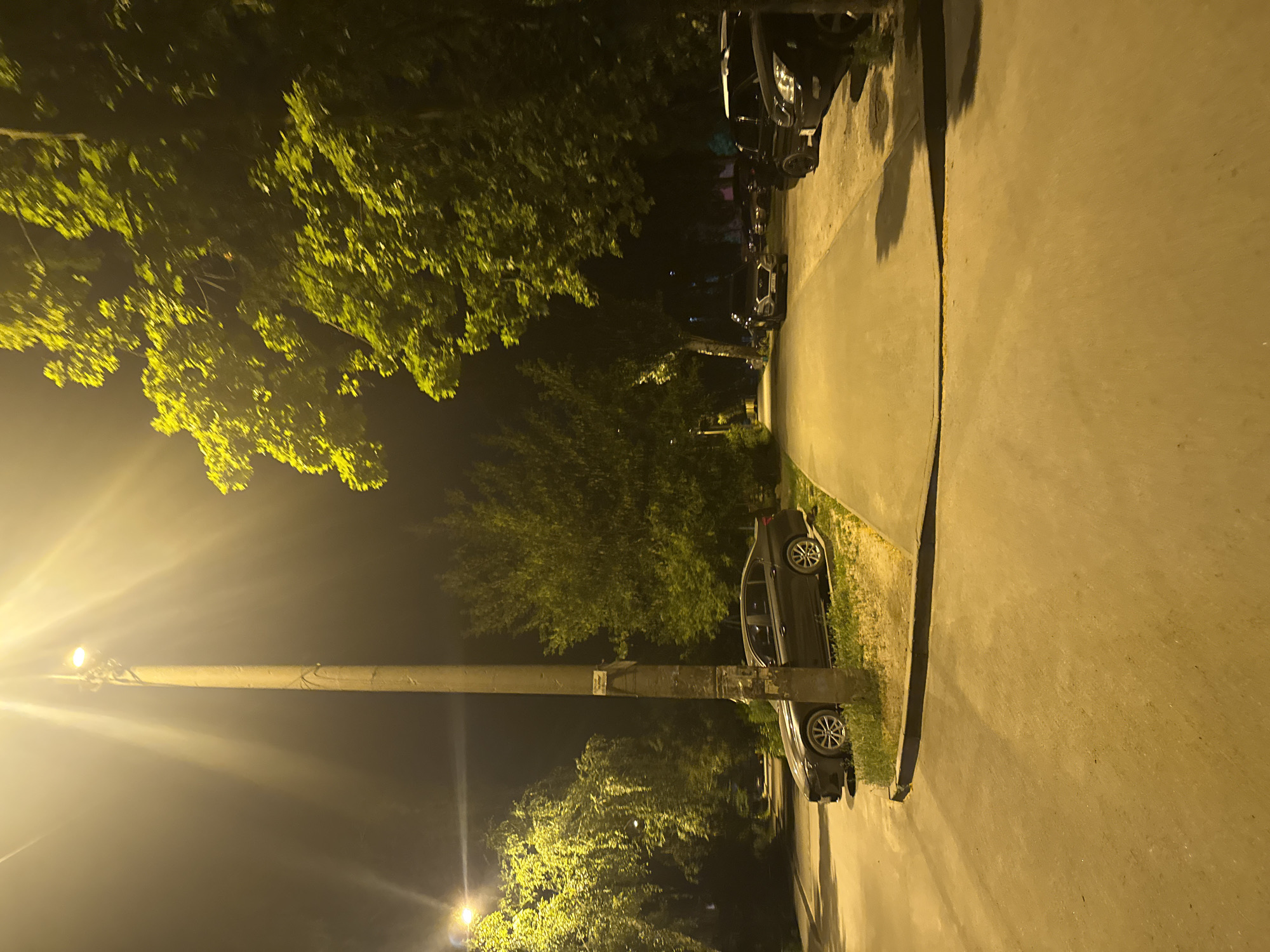 The image depicts a street scene at night in Dnipro, Ukraine, illuminated by a bright streetlamp. The perspective is from a low angle, looking up at the streetlamp and then down a paved road lined with trees. Several cars are parked along the side of the road. The trees are lush with green foliage, suggesting it is likely spring or summer. The overall mood is quiet and somewhat eerie due to the darkness and the artificial lighting. There are no people visible in the frame, and the activity appears to be limited to the stationary cars and the ambient glow of the streetlamp. The time of day is clearly night, and there are no strong indicators of weather conditions, though the light seems to be diffused, possibly suggesting a slight haze or mist. The location is identified as Dnipro, Ukraine. No visible text is present in the image.