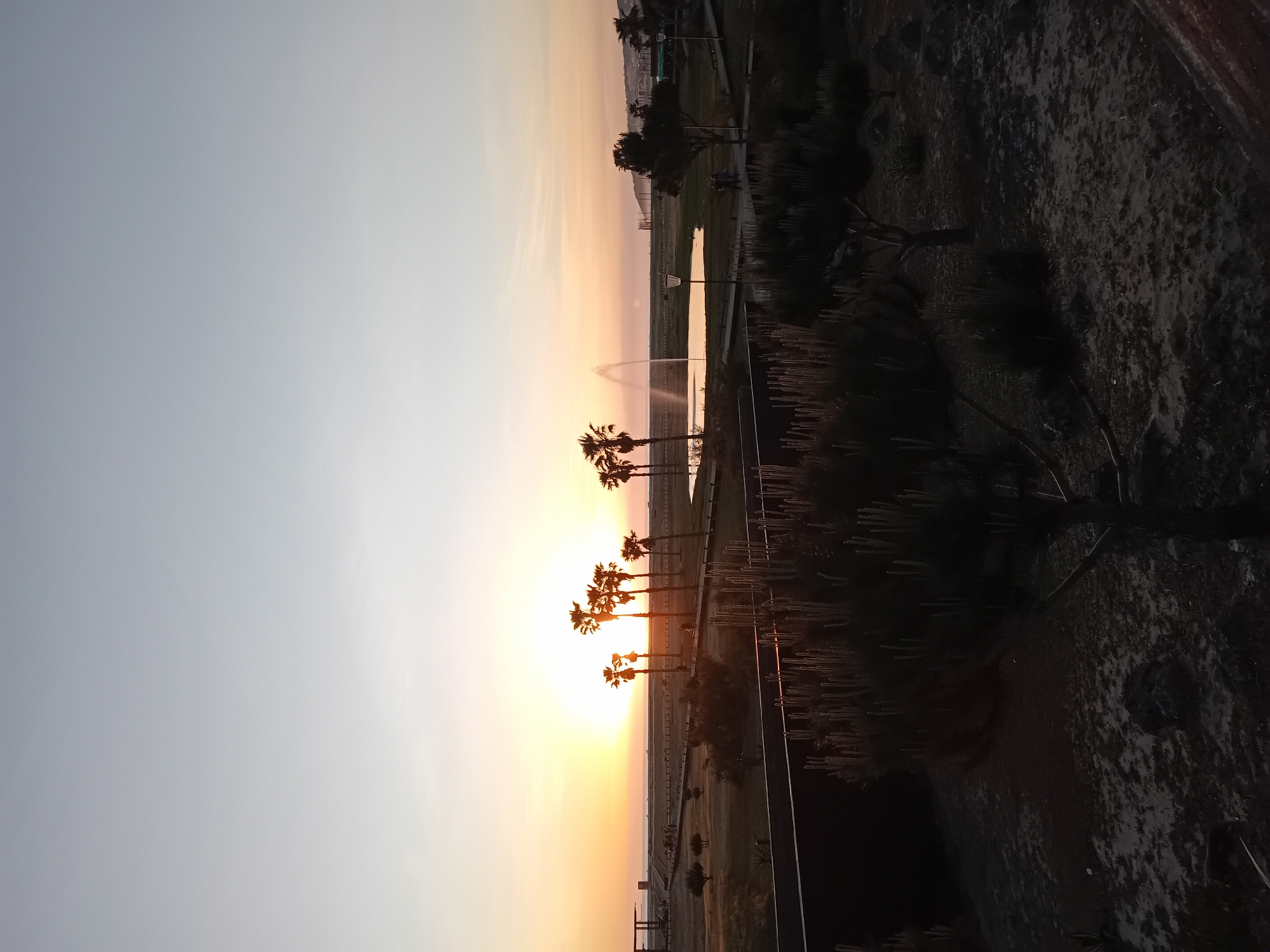 The image shows a sunset over a city park. The sky is a gradient of light blue to orange, with the sun setting in the middle. A line of palm trees is silhouetted against the sun. There is a fountain spraying water into the air. The park has grass and trees. A fence runs along the edge of the park. There are buildings in the distance. The location is Unknown, Unknown.