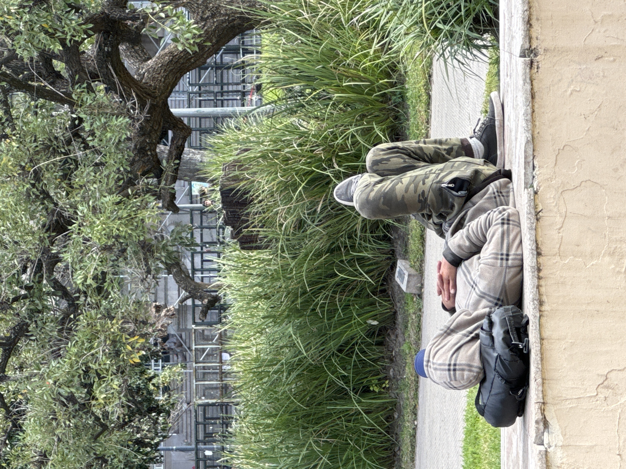 The image presents an outdoor scene in what appears to be an urban setting, consistent with Buenos Aires, Argentina. A single individual is prominently featured, seated on a low, light-colored textured wall or ledge positioned along the right side of the frame. The person is dressed in camouflage-patterned pants, a plaid jacket in beige and dark tones, and a blue cap. Their hands are clasped in front, suggesting a posture of rest or contemplation. A black backpack rests beside them.
Adjacent to the wall, a concrete sidewalk stretches horizontally. Beyond the sidewalk, a lush, dense strip of tall green grass or reeds creates a natural barrier. To the left, a large, mature tree dominates the upper and left portions of the image, showcasing dark, gnarled branches and vibrant green foliage. In the background, partially obscured by the tree and grass, a structure resembling scaffolding or a building under construction is visible, characterized by its intricate grid-like framework. The lighting indicates it is daytime, likely under overcast conditions, as there are no harsh shadows. No specific text is visible within the frame.