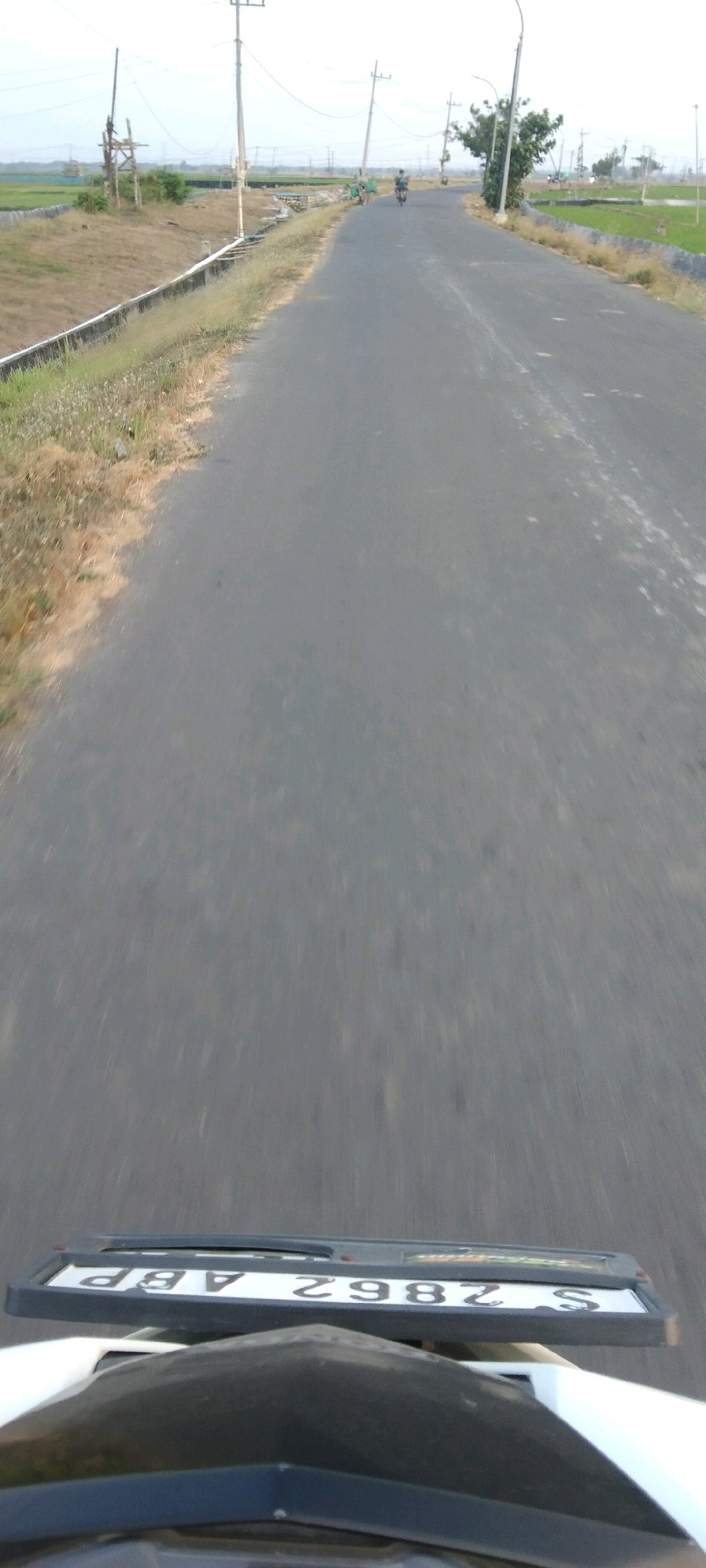 A first-person perspective shot captures a road in Ngujo, Indonesia, with a motorcycle license plate in the foreground reading "S 2982 ABP". The road stretches into the distance, flanked by dry grass and irrigation ditches on the left, and green fields and trees on the right. In the middle distance, a person on a bicycle rides away from the camera, and further down the road, another figure on a motorcycle is visible. Utility poles and power lines are present along the roadside, with a cluster of trees and foliage on the right side of the road. The sky is overcast.