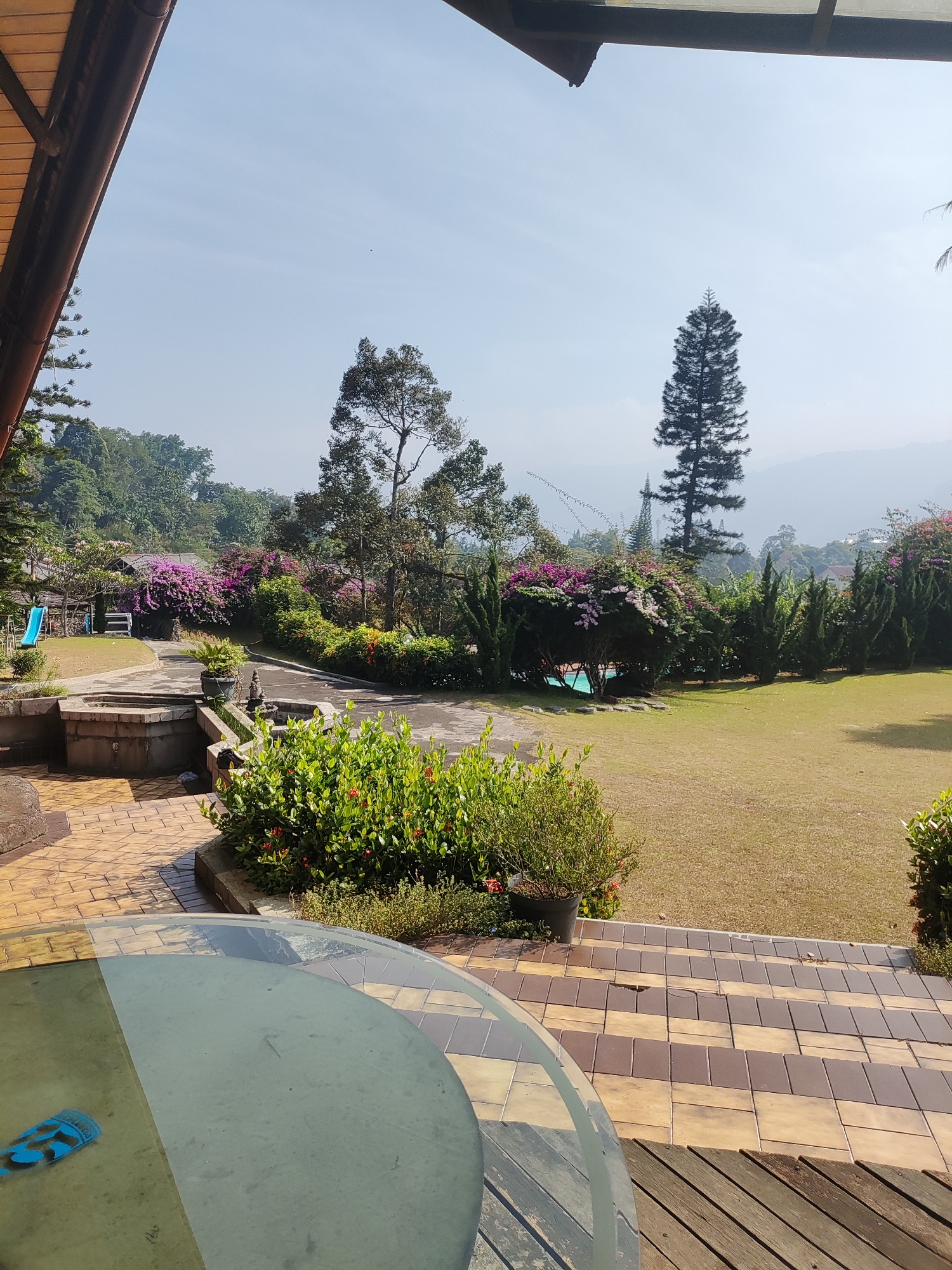 The image depicts a sunlit outdoor scene at a property in Cisarua, Indonesia, likely a resort or private residence. In the foreground, a portion of a circular, frosted glass table is visible, with a blue object on its surface. Adjacent to the table, a multi-toned tiled pathway leads upwards, bordered by a wooden deck.
Beyond the foreground, a manicured lawn extends towards a landscape dotted with trees and flowering bushes. Prominent in the midground are vibrant purple bougainvillea bushes, a tall, slender pine tree, and other lush greenery. A small blue waterslide is visible on the left, suggesting recreational facilities. The background reveals rolling hills covered in trees, fading into a hazy mountainous backdrop under a clear, pale blue sky. A glimpse of a swimming pool with turquoise water can be seen amidst the foliage. The architecture suggests a tropical or subtropical setting, with a covered patio structure visible in the upper left corner. The overall impression is of a tranquil, well-maintained outdoor space.