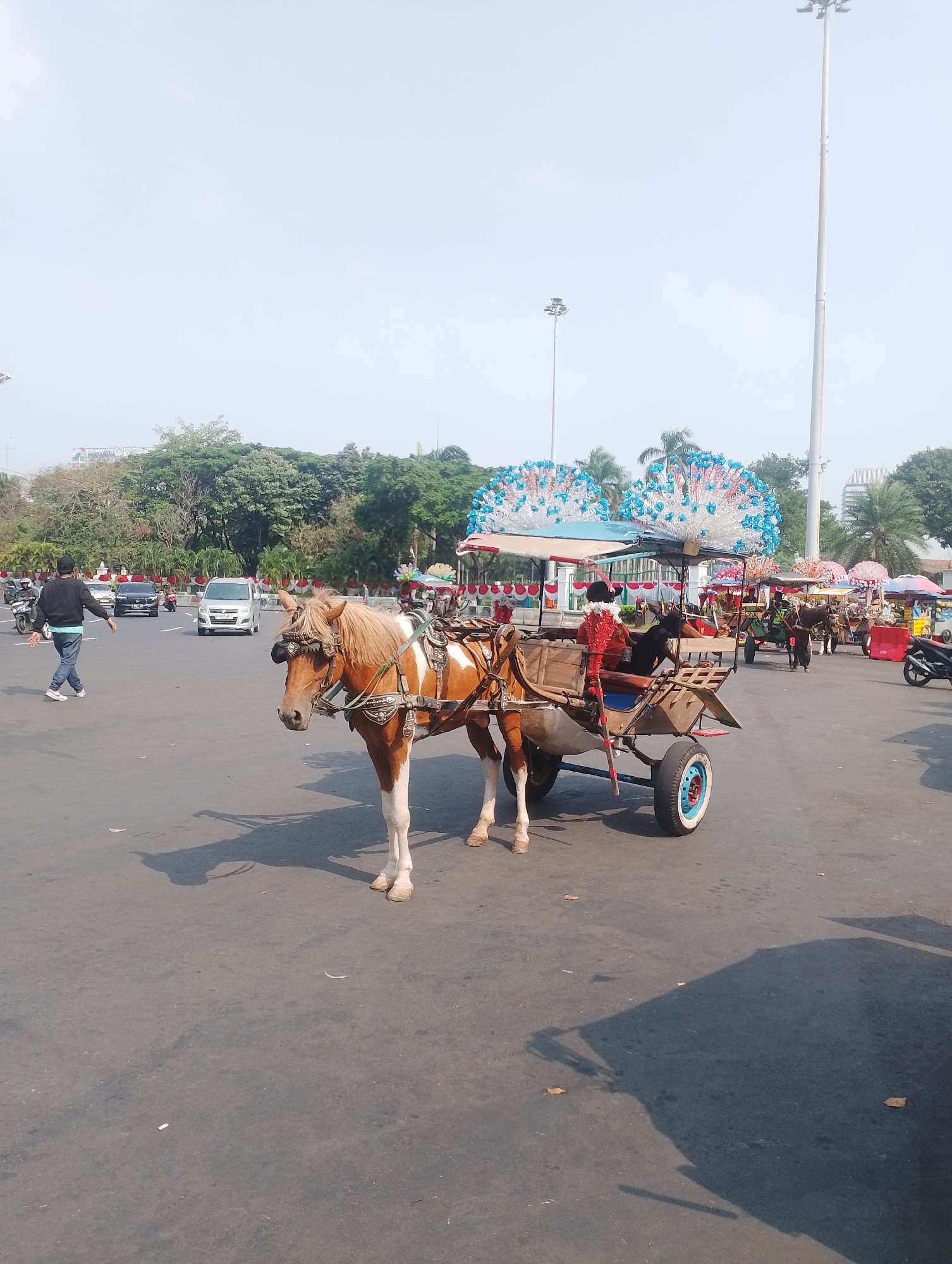 The image depicts a street scene in Central Jakarta, Indonesia, featuring horse-drawn carriages. In the foreground, a light brown and white horse stands hitched to a wooden carriage, which has ornate blue and white decorations on its canopy, reminiscent of peacock feathers. A person in dark clothing is seated in the carriage. To the left of the horse, a man in a black sweater and jeans walks across the asphalt road, with a motorcycle visible behind him. Several cars, including a silver minivan, are on the road in the background. Further down the street, more horse-drawn carriages and a motorcycle can be seen. The environment includes trees and tall light poles, suggesting an urban setting. The sky is clear and pale, and the ground is paved.