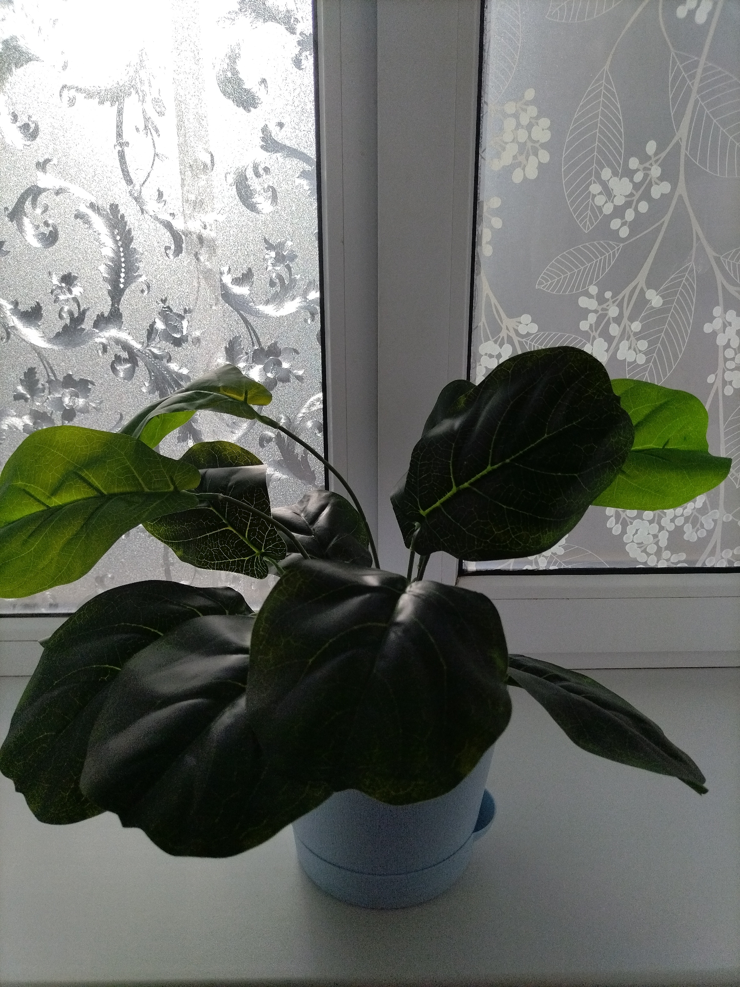 A light blue pot containing a dark green artificial plant with large leaves sits on a white windowsill. The plant is positioned in front of a window covered with frosted film featuring a decorative floral pattern on the right side and a more intricate, ornate scrollwork pattern on the left. The window is illuminated by natural light, creating a soft glow through the frosted film. The scene is indoors, on a windowsill in Rossiyskiy, Russia.