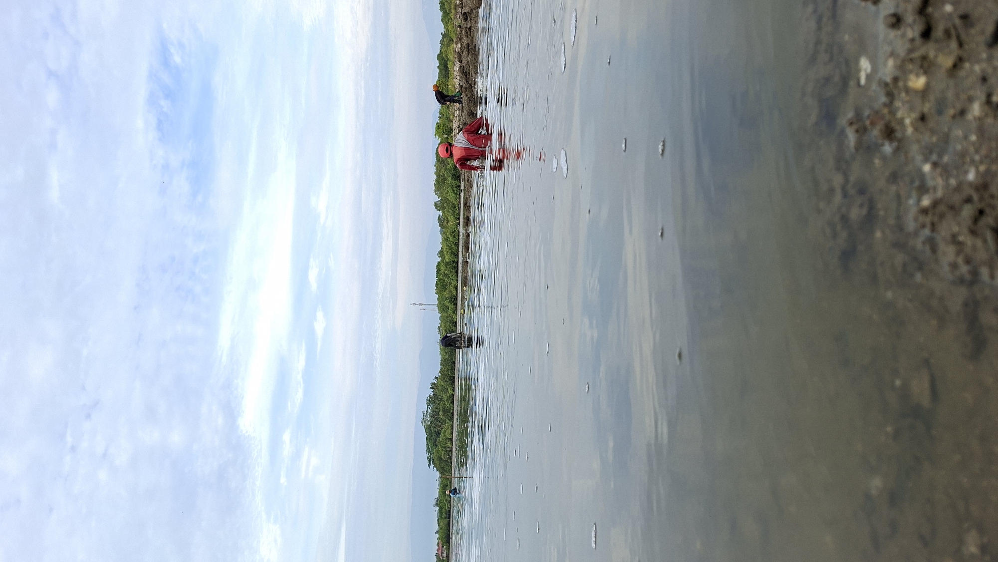 The image depicts a shallow body of water, possibly a tidal flat or aquaculture pond, in Lhokseumawe, Indonesia. In the foreground, the murky water is visible, with the seabed appearing as a mix of sand and small stones. In the mid-ground, several individuals are engaged in activity. The most prominent figure is wearing a red shirt and pants, wading in the water. To their left, another person in dark clothing is bending over, possibly collecting something from the ground. Further to the left, a third person is also visible, further away and less distinct. In the background, a line of trees, primarily mangroves, forms a natural barrier. Beyond the trees, distant mountains are faintly visible under a cloudy sky. The scene suggests a working environment, likely related to fishing or aquaculture, within the coastal region of Lhokseumawe.