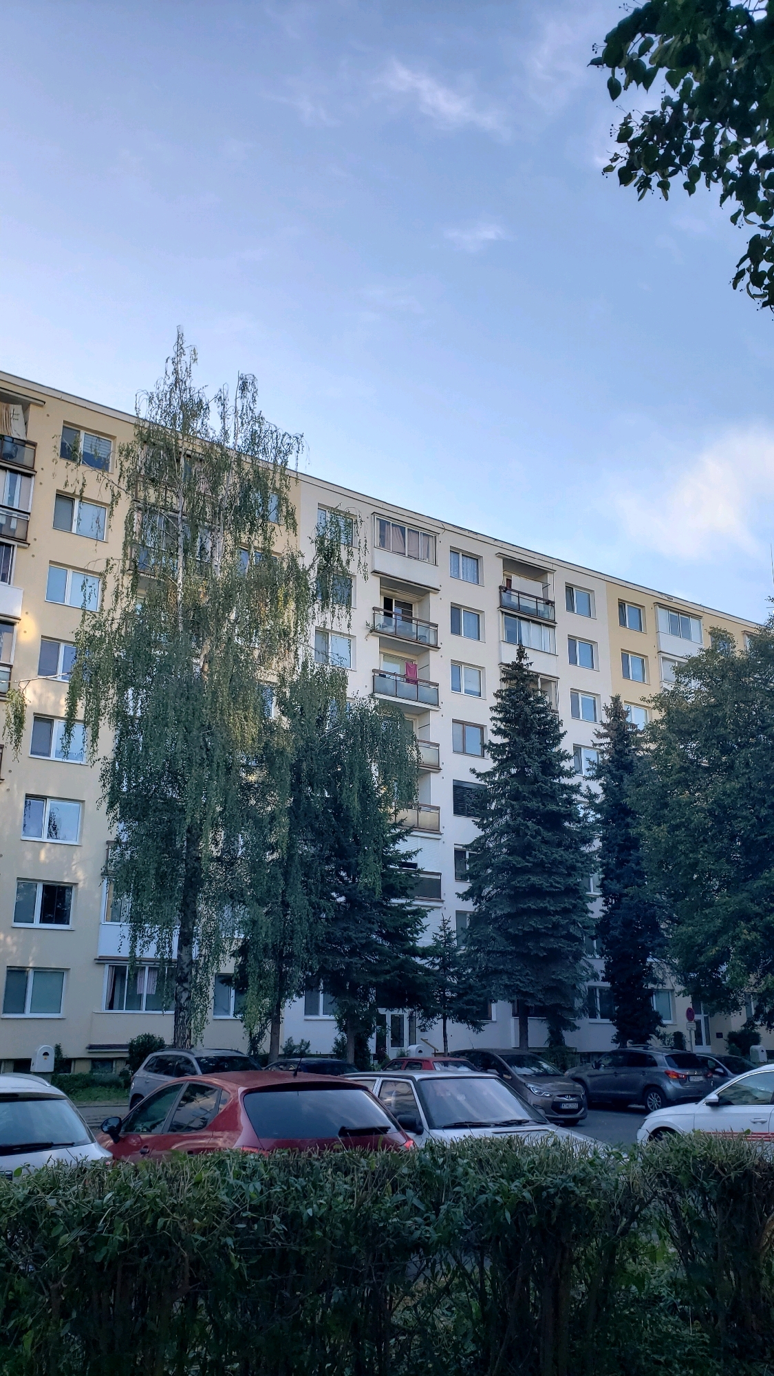 The image captures a side view of a multi-story apartment building in the city of Prešov, Slovakia. The building, which appears to be constructed of beige-colored concrete, has several floors with numerous windows and balconies. One balcony on the third floor from the bottom displays a pink item of clothing, possibly a towel or a sheet, hanging to dry. Mature trees, including a tall, leafy birch tree and several evergreen trees, are visible in front of and beside the building. A row of parked cars, including a red hatchback, a silver sedan, and several SUVs, are situated in front of the building, partially obscured by a dense green hedge in the foreground. The sky above is a clear blue with scattered white clouds, suggesting daytime. The scene depicts a typical residential setting in a European city.