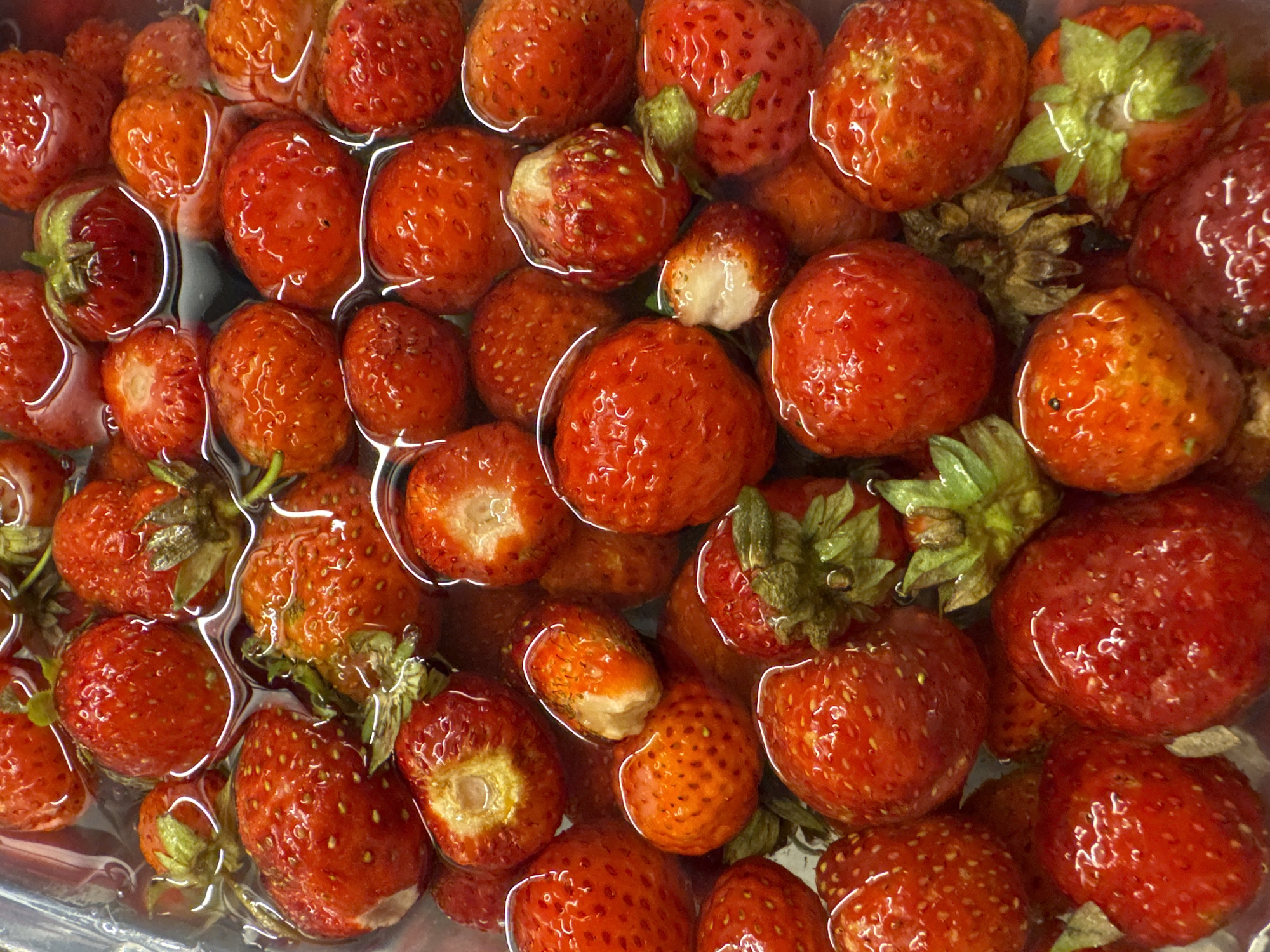 A close-up, overhead shot shows a collection of fresh strawberries submerged in water within a transparent container. The strawberries, varying in size and ripeness, exhibit vibrant red hues with visible seeds. Some strawberries are whole, while others appear to be cut in half, revealing their white flesh. The water surface is rippled, reflecting the light and distorting the shapes of the fruit beneath. The environment appears to be indoors, likely a kitchen setting. No specific location in Mikhaylovsk, Russia, is indicated by the visual evidence. The image focuses solely on the strawberries and the water.