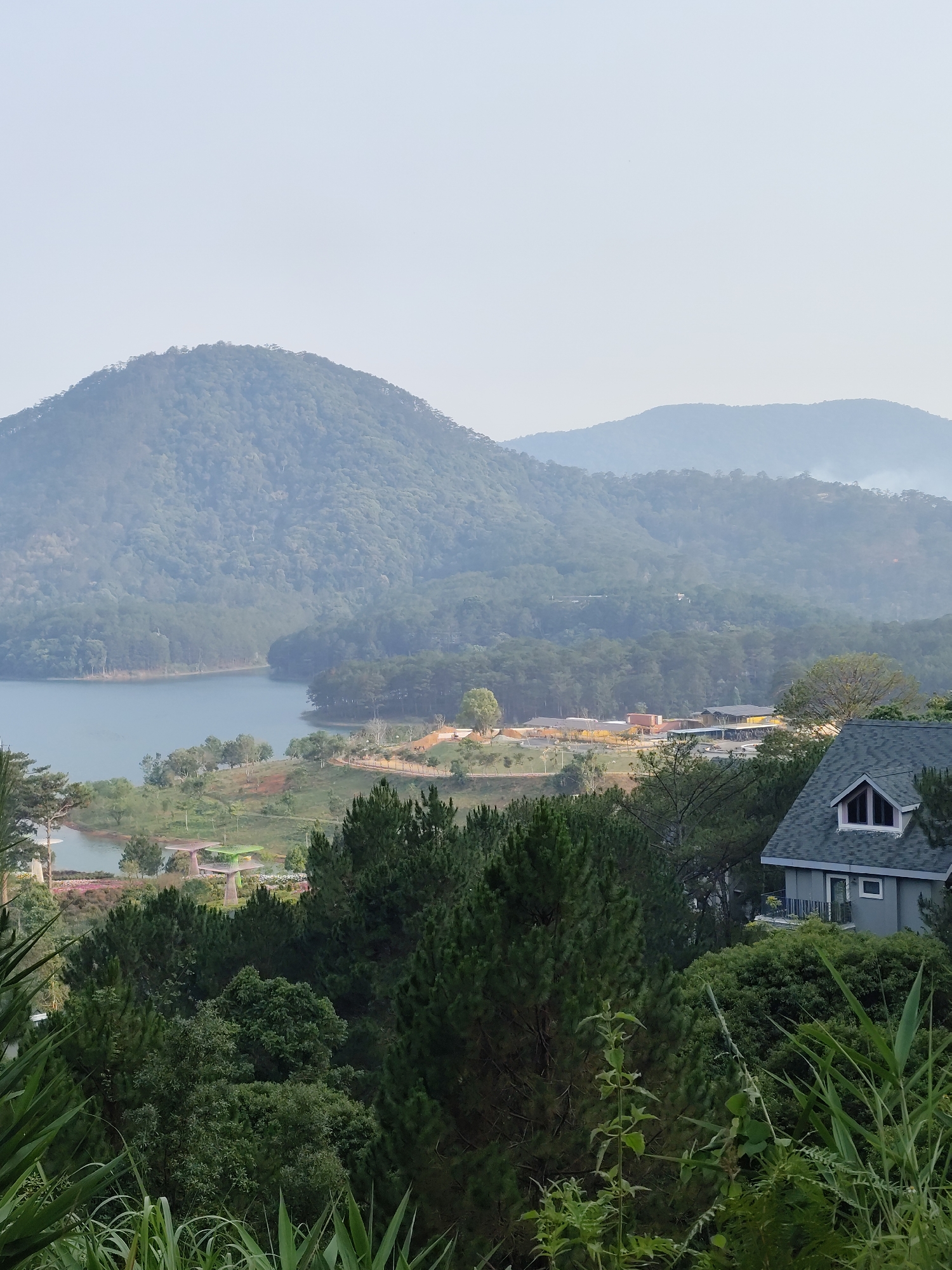 The image shows a landscape view of Da Lat, Vietnam. In the foreground, there's dense foliage of green trees and tall grasses. In the midground, a lake borders green hills with pine trees, and a building with a green roof is partially visible. In the background, hazy mountains are seen. The sky is light gray, suggesting a foggy or overcast day.