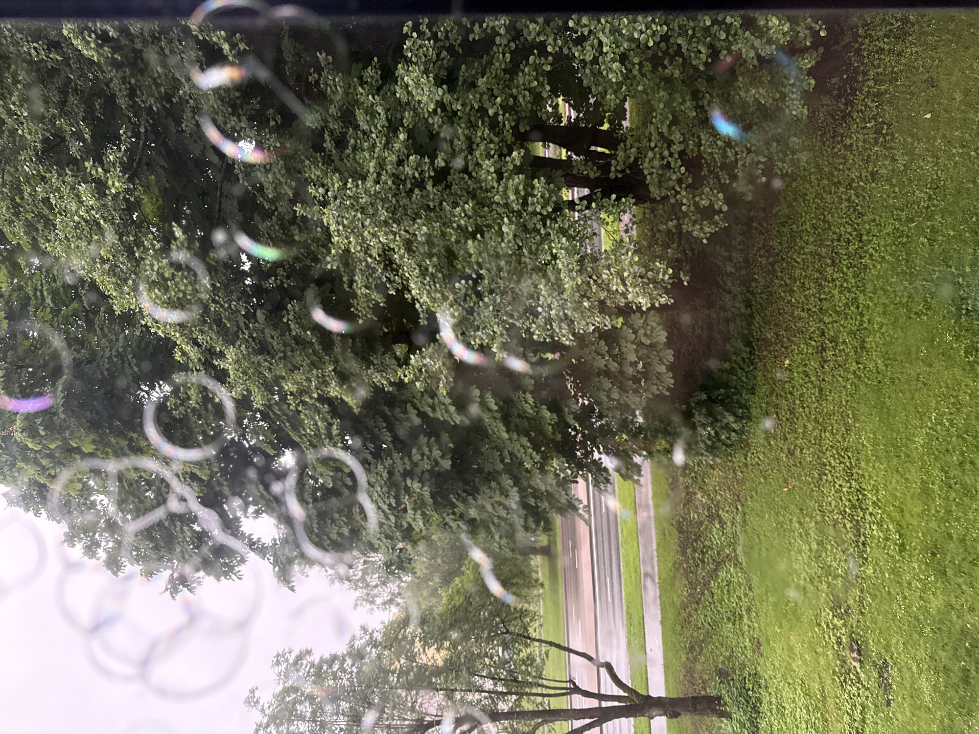 The image depicts a view through a window with several soap bubbles in the foreground, creating iridescent, circular distortions. Beyond the bubbles, a scene unfolds with lush green trees and a wet asphalt road. The road appears to be a street with white lane markings, suggesting it is a public thoroughfare. The surrounding area is covered in green grass and smaller vegetation. The overcast sky hints at a cloudy or rainy day. The presence of trees, a paved road, and manicured green spaces indicates an urban or suburban environment. While the specific location in Tallinn, Estonia, cannot be precisely identified from the image alone, the scene is consistent with a residential or park-like area within the city. There are no people or vehicles visible in the frame. The overall atmosphere is calm and perhaps slightly damp due to the wet road surface.