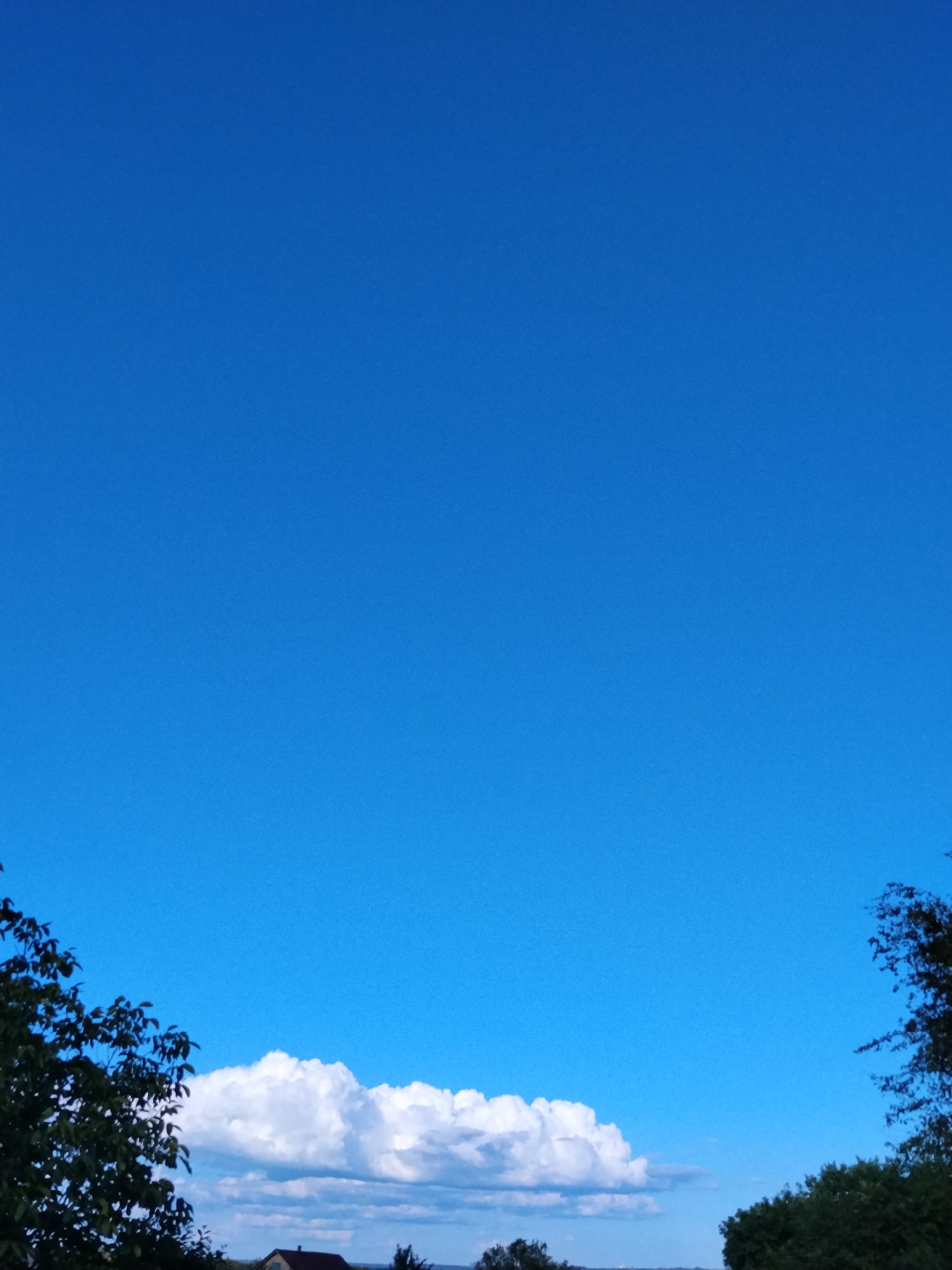 A bright, cloudless blue sky dominates the upper portion of the image. The lower section of the image reveals a landscape with trees and a house. On the left, the dark green foliage of a tree is prominent, its branches reaching towards the sky. On the right, the silhouette of another tree is visible. In the center, a large, fluffy white cloud floats against the blue expanse, casting a shadow on the land below. Below the cloud and between the trees, a small house with a dark roof is nestled among the trees, suggesting a rural or semi-rural setting. The overall impression is a clear, sunny day, likely in the late morning or early afternoon, given the bright sky and the quality of light. There is no visible text in the image.