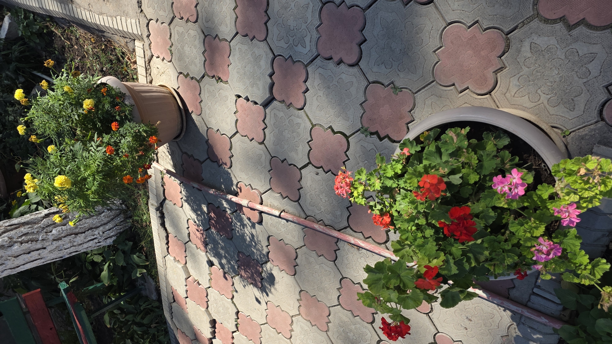 An overhead, eye-level shot shows two potted plants on a patterned, interlocking brick pathway in Tokmok City, Kyrgyzstan. The pathway's bricks are a mosaic of grey and rose-colored, clover-shaped pavers.
In the upper portion of the frame, a large terracotta pot overflows with a dense bush of vibrant yellow and orange marigolds. The plant is positioned near a rough, white-barked tree trunk. To the left of the tree is a portion of a green and red park bench.
In the lower portion of the frame, a lighter-colored pot holds a cluster of red and pink geraniums. The flowers are lush and green, with a few scattered petals on the pathway. A long, thin, red-painted pole lies diagonally across the pathway, partially obscured by the geraniums and the marigolds. Sunlight casts distinct shadows from the plants and the pole onto the pathway. The environment appears to be an outdoor setting, possibly a garden or park, with foliage visible in the background.