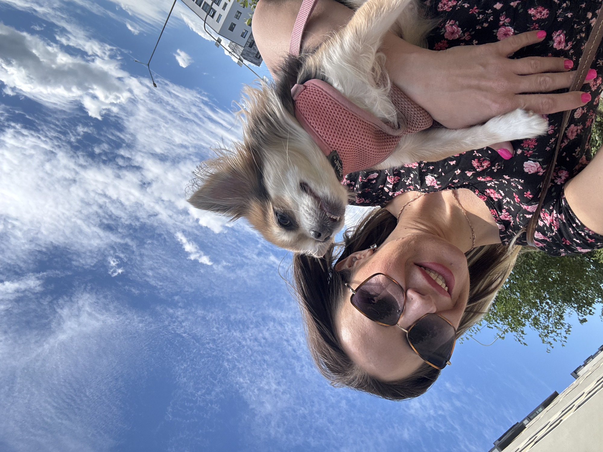A woman with blonde hair and sunglasses is holding a small, long-haired dog. She is wearing a black floral print dress. The dog is wearing a pink harness. They are outdoors with a bright blue sky filled with white clouds. In the background, there is a modern building. The image appears to be taken in a city, possibly St. Petersburg, Russia, given the architectural style of the building and the street light visible. The woman is smiling and looking at the camera, while the dog is looking up and to the side.