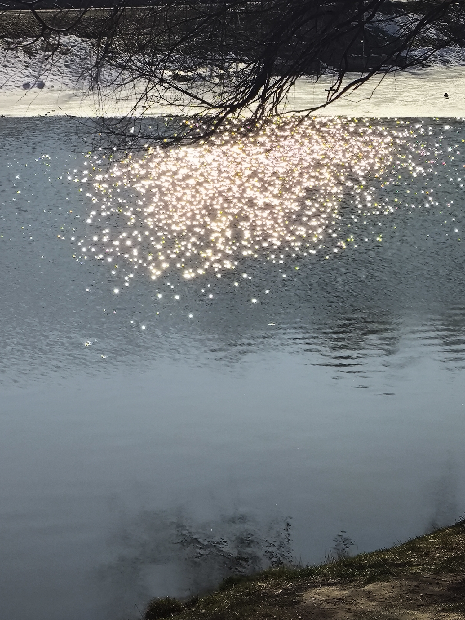 The image shows a body of water with reflections of sunlight creating a bright, shimmering effect on the surface. In the upper portion, there are branches of a tree silhouetted against a bright background. The location appears to be a waterside area, with grass and dirt banks visible in the lower portion. The scene is located in Khimki, Russia.