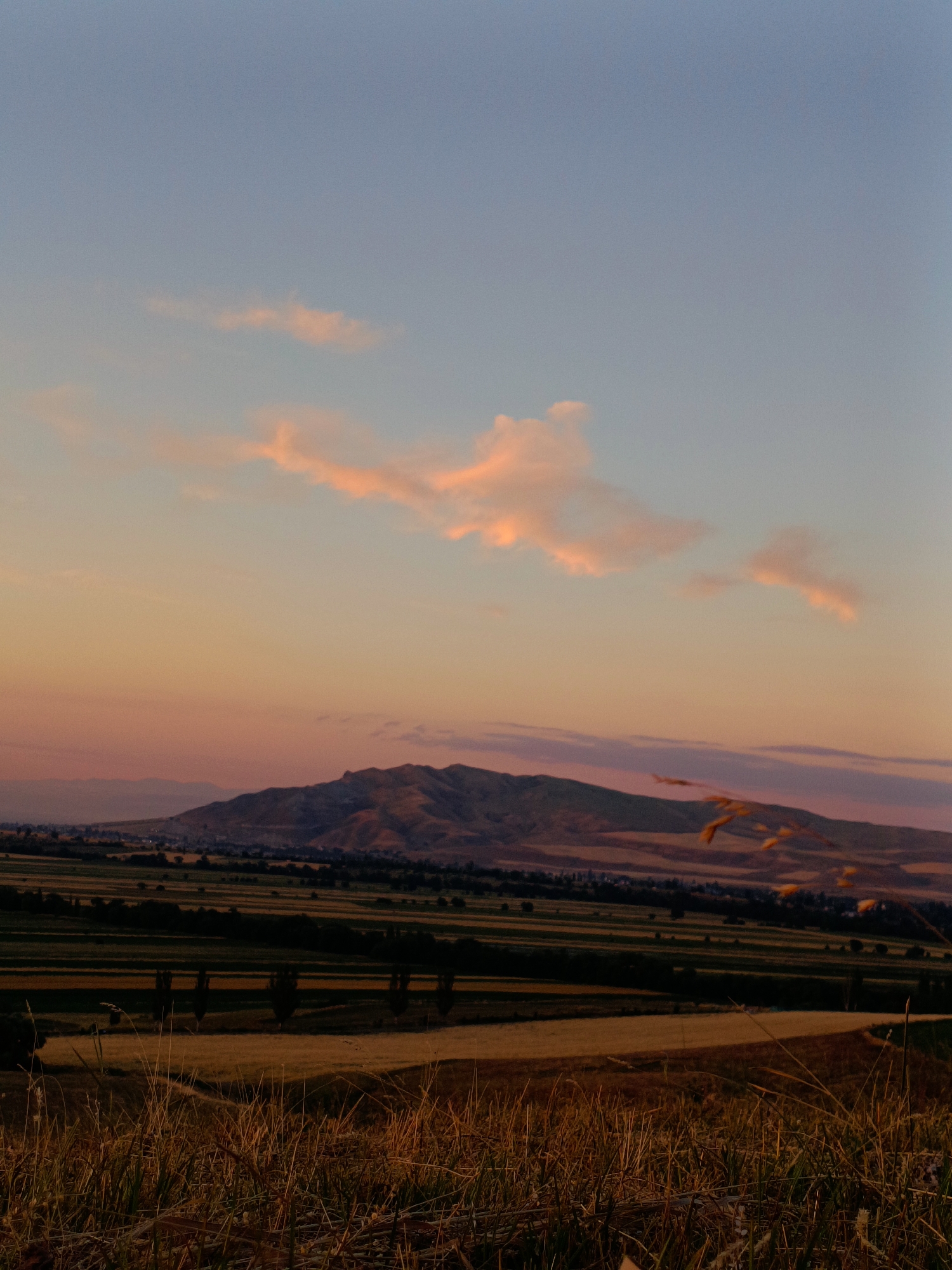 The image depicts a scenic view of rolling hills and agricultural fields under a twilight sky. In the foreground, dry grass and stalks are prominent, bathed in the warm, golden light of sunset. Beyond this, the landscape transitions to a patchwork of cultivated fields, with some appearing golden and harvested, others green, and dark lines suggesting tree rows or hedgerows. A few scattered trees are visible in the middle ground.
Further in the distance, a large mountain range dominates the horizon, its slopes textured and illuminated by the fading sunlight. A small settlement, marked by houses and possibly a road, is nestled at the foot of the mountains. The sky above is a gradient of soft blues and oranges, with wispy, pink-tinged clouds scattered across it. The overall atmosphere is serene and tranquil, characteristic of a rural landscape at dusk. The location is identified as Arashan, Kyrgyzstan. There are no people, animals, or vehicles visible in the image.