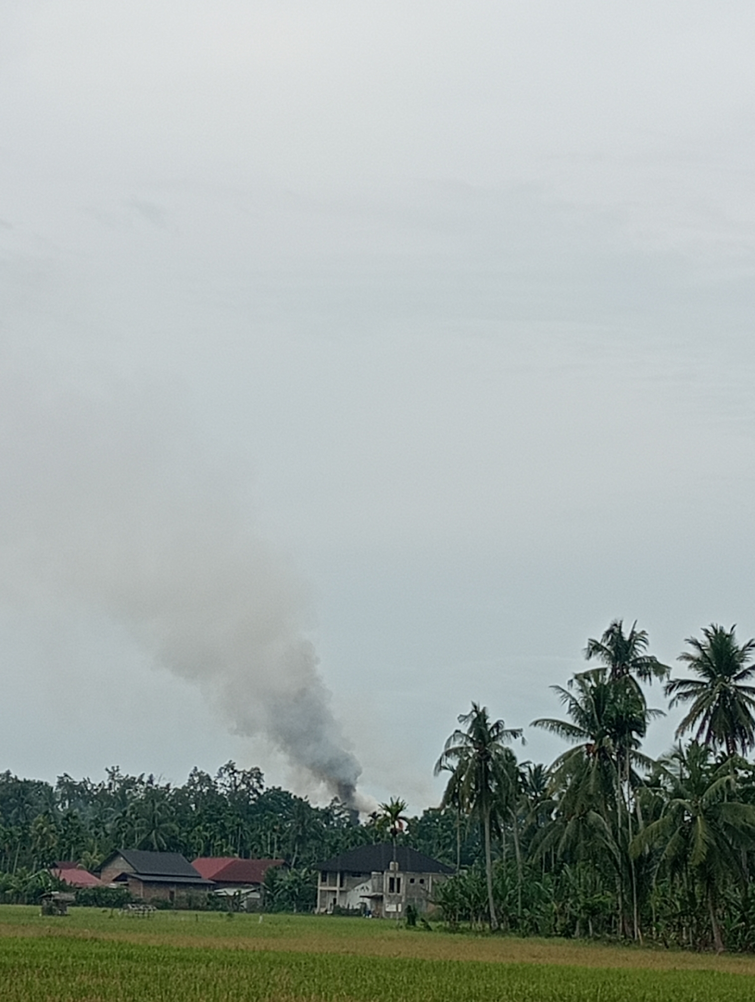 In Blanggurah, Indonesia, a plume of dark smoke billows into the overcast sky from a fire obscured by dense tropical foliage. The smoke rises from an area behind a cluster of residential buildings with red and dark-colored roofs, situated amidst lush greenery and tall palm trees. In the foreground, a green rice field stretches across the lower portion of the image. The scene appears to be a rural or semi-rural setting.