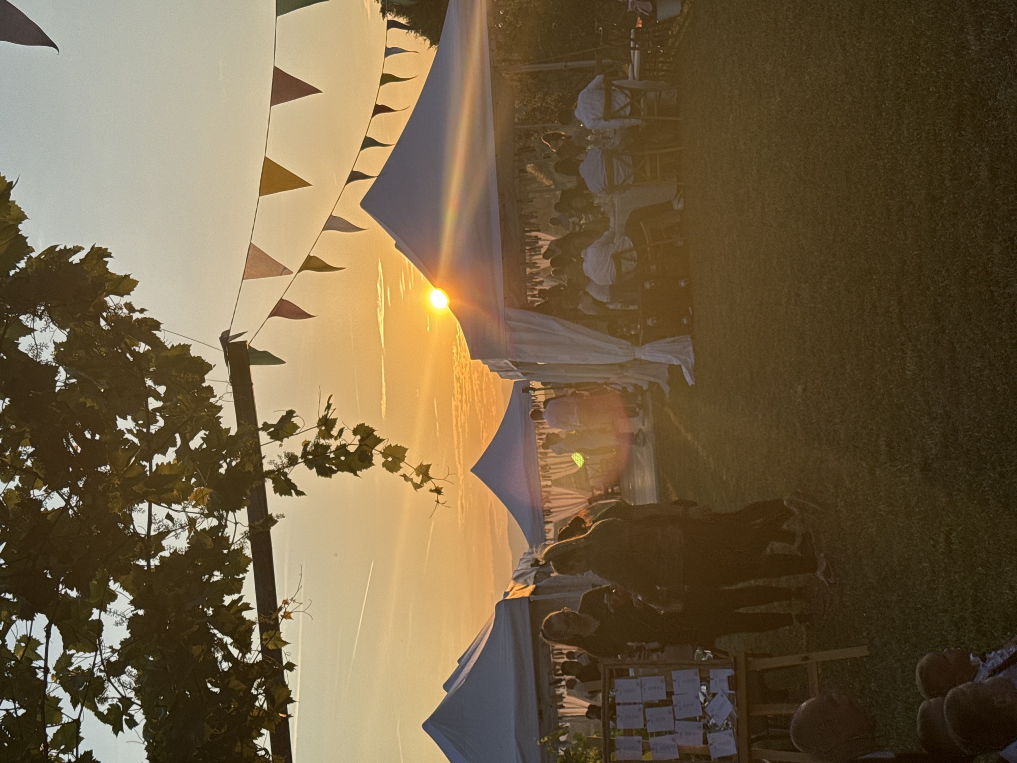 The image depicts an outdoor event at sunset in Harsovo, Bulgaria. A prominent golden sun is visible low on the horizon in the mid-right, casting a warm, bright glow across the scene and creating a lens flare. The sky above transitions from a light blue at the top to vivid orange and yellow near the horizon, with two faint white contrails from aircraft visible in the upper-mid section.
In the upper left foreground, a canopy of dark green vine leaves, supported by a dark horizontal beam, partially frames the scene. Below this, a string of multi-colored triangular bunting flags stretches across the upper-mid ground, silhouetted against the bright sky.
Three white canvas tents with peaked roofs are set on a grassy field. Two smaller tents are located on the left, with one partially obscured. A larger tent occupies the right side, under which multiple individuals are seated at round tables with white tablecloths and wooden chairs, engaged in dining or socializing. Many are seen from behind or profile, with some individuals visible wearing white shirts.
On the left side of the image, near the smaller tents, several people are standing and interacting. Two women are prominent in the mid-left; one wears glasses and faces forward, while the other faces away, both engaged in conversation. To the far left, a wooden easel-style board displays multiple white cards, resembling a seating chart or information display. In the extreme bottom-left foreground, partial views of children's heads are visible. The event takes place on a well-maintained grassy lawn, with distant hills faintly visible on the horizon.