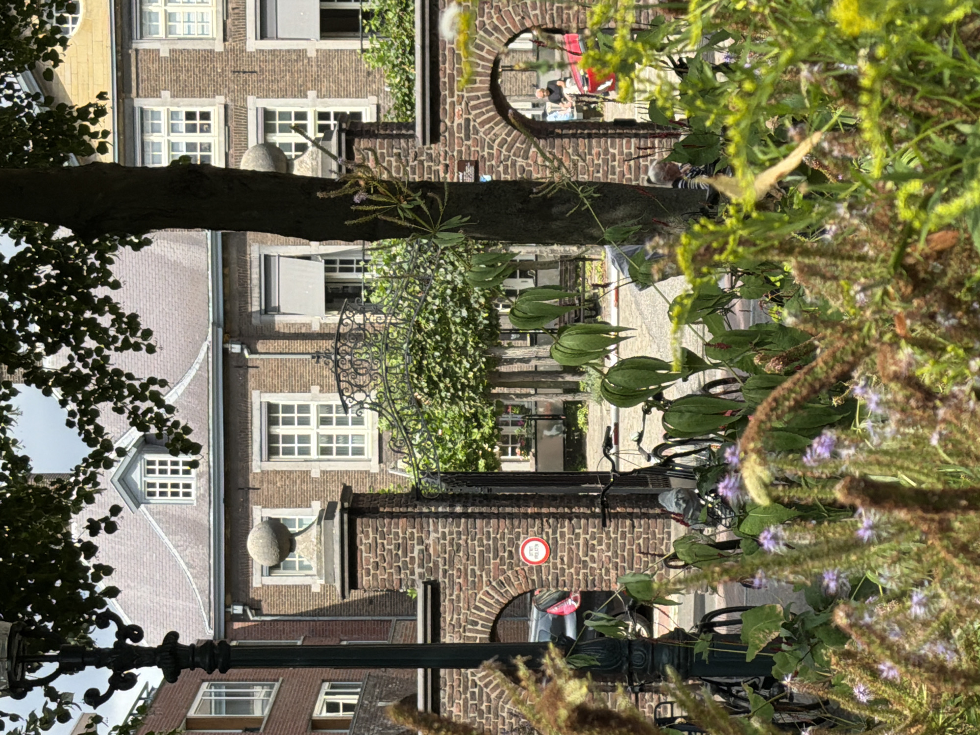 The image captures a view through a lush garden towards a historic building and a gateway in Roermond, Netherlands. In the foreground, out-of-focus wild grasses and flowering plants with purple and yellow blooms create a natural screen. Beyond this, a tall, dark lamppost stands to the left, partially obscuring the view.
A brick gatehouse with an arched opening is central to the mid-ground. A circular red and white sign is attached to the brick pillar on the left side of the gatehouse. Through the archway, a dark-colored car is visible. The gateway itself features ornate wrought-iron fencing.
Behind the gatehouse, a stately brick building with multiple windows and grey awnings is visible. The building has a pitched roof with dormer windows. The architectural style suggests historical significance, typical of older European cities like Roermond.
In the background, through another arched opening in the brickwork on the right, two people are partially visible. One, wearing a dark shirt, is pushing a red cart. Another person with grey hair and wearing a striped shirt is seated.
The overall scene depicts a serene urban environment, where nature and historical architecture coexist. The image appears to be taken on a sunny day, with dappled light filtering through the leaves of a tree in the upper right portion of the frame.