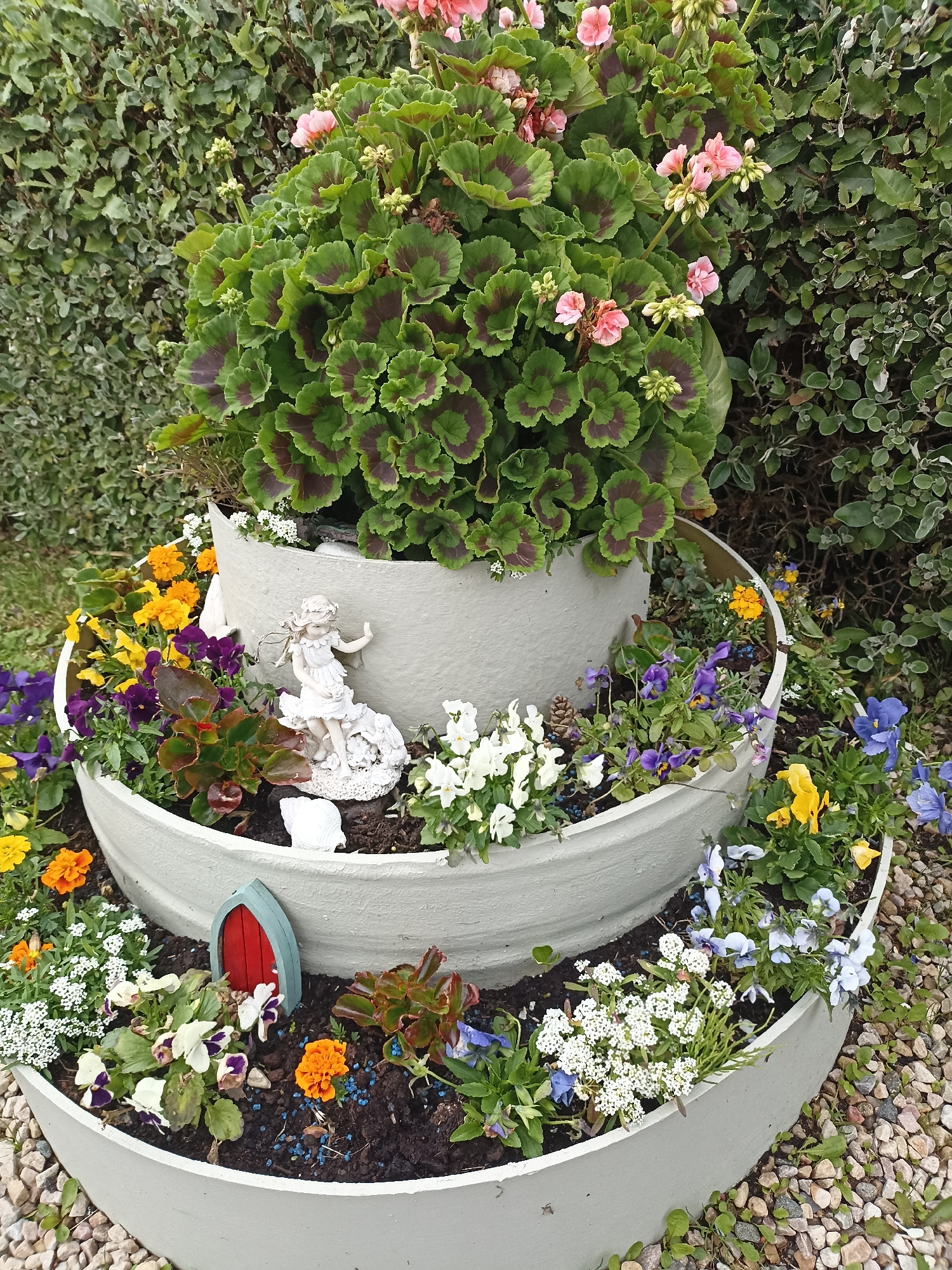 This media file displays a decorative tiered planter filled with a variety of flowering plants and miniature garden elements, set against a backdrop of lush green foliage. The planter itself is a light gray, possibly concrete, structure with three distinct levels.
The top tier is dominated by a large plant with broad, green leaves featuring dark maroon markings and clusters of small pink flowers. Below this, the second tier showcases a delicate white figurine of a fairy or cherub, perched on a rocky base, with a white seashell to its side. This level is also adorned with a mix of small flowers in vibrant colors, including purple pansies and yellow marigolds.
The bottom tier features a miniature red arched doorway, suggesting a fairy garden theme. This level is populated with more small flowers such as white alyssum, orange marigolds, and more pansies in purple and white. Small succulents with reddish-green leaves are also present. The planting soil is dark and appears to be mixed with small blue decorative pellets. The planter is surrounded by small, light-colored gravel.
The scene is set outdoors, with a dense hedge of green leaves forming the background. The lighting suggests it is daytime, likely with overcast or diffused light, as there are no strong shadows. The overall impression is one of a charming, whimsical garden feature, possibly located in a residential garden. No text is visible in the image. The location context of Annagry, Ireland, suggests a potentially temperate climate.
