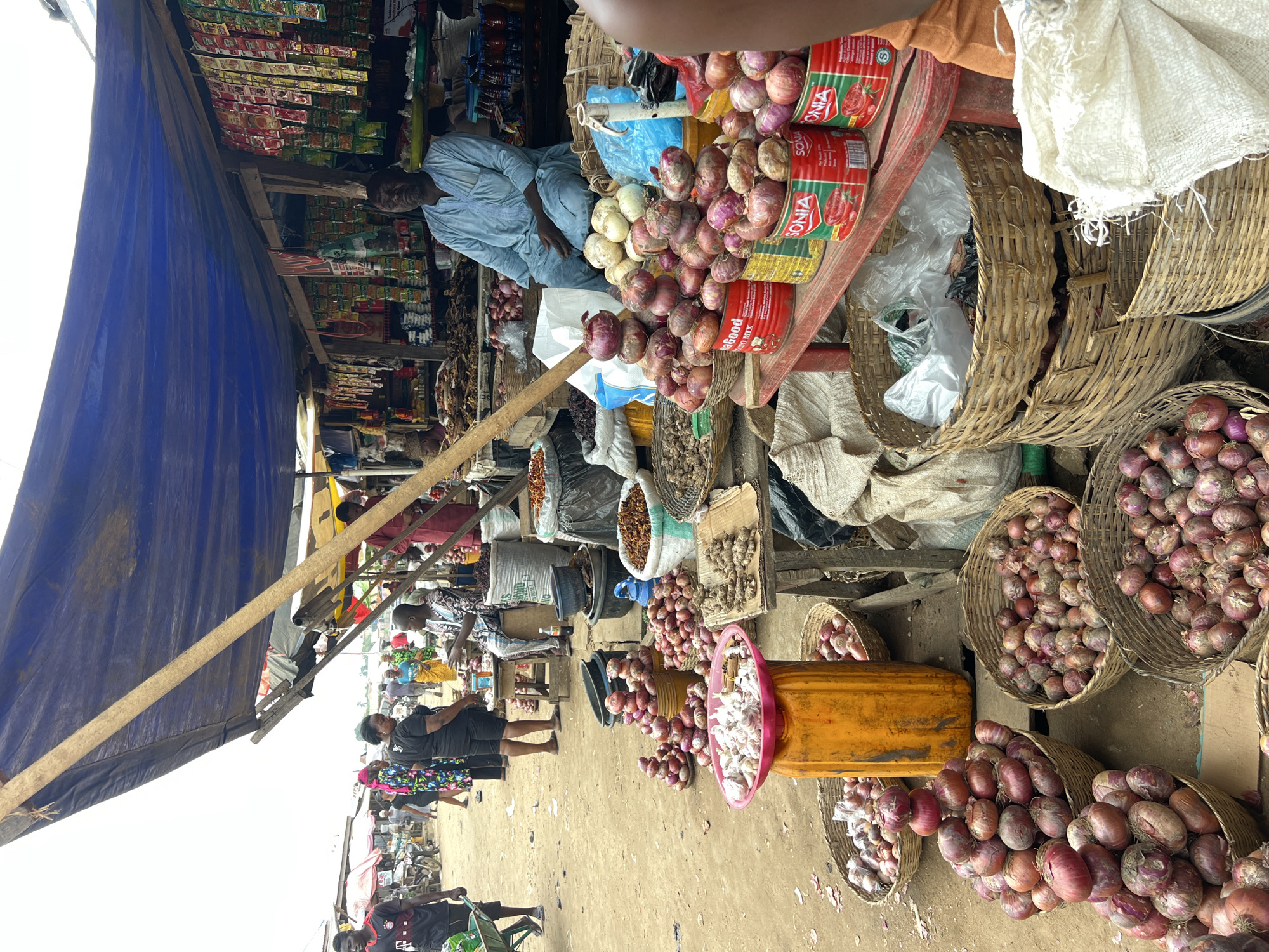 In Oko Amakom, Nigeria, a bustling open-air market is depicted. The scene is dominated by a large blue tarp providing shade over a market stall. Numerous people are present, some interacting with vendors, while others are engaged in selling their wares.
The stall itself is laden with a variety of goods, predominantly onions. Piles of red and white onions are displayed in baskets and on shelves. Some onions are presented in traditional red tins, labeled "Sonia". Alongside the onions, other produce such as ginger and what appears to be dried fish or meat are visible. Bags of spices and other dry goods are also part of the inventory.
The ground of the market is dirt. In the foreground, several woven baskets are filled with onions. A bright orange plastic container sits on a scale, also holding produce. In the background, other market stalls can be seen, and people are walking through the market. Some individuals are wearing traditional African attire, while others are in more casual clothing. The overall impression is one of a vibrant, active marketplace.