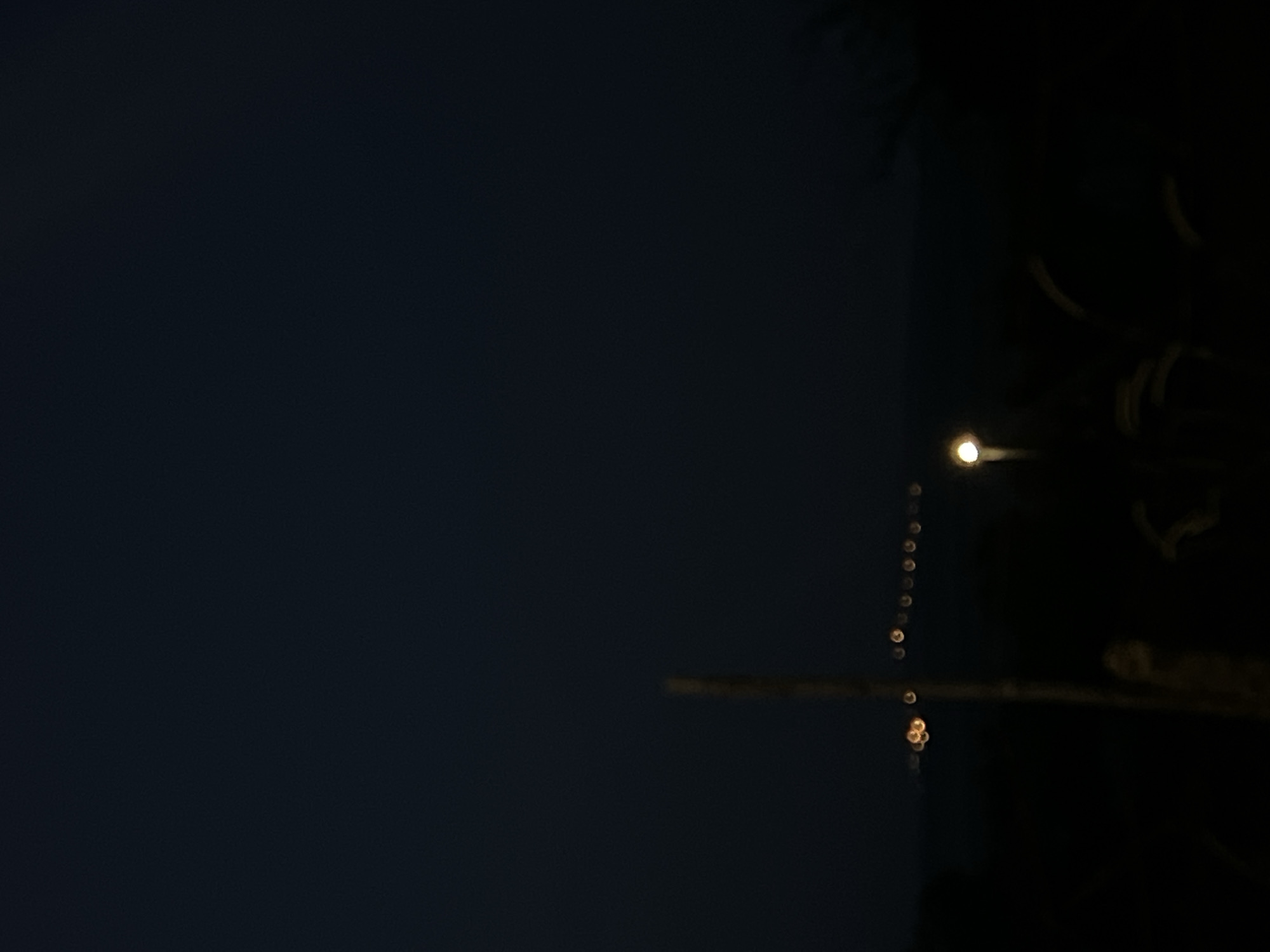 The image depicts a low-light outdoor scene at night, presumably in Debelt, Bulgaria. The upper two-thirds of the frame consists of a dark, uniform blue-black expanse, indicative of the night sky, with no visible celestial bodies.
The lower third of the image is dominated by darkness, with indistinct shapes suggesting unlit terrain and vegetation in the foreground and midground. A slender, vertical, light-colored object, out of focus, extends upwards from the bottom-left quadrant towards the center of the frame, possibly a pole or a tall plant.
Across the mid-distance, a horizontal line of multiple, small, circular, out-of-focus orange-yellow light sources (bokeh) is visible, extending from the left to the right of the frame. These lights suggest distant artificial illumination, possibly from a settlement or road. Below these distant lights, in the lower-middle-right of the frame, a single, elongated, bright yellow-white light source is prominent and significantly out of focus, suggesting a closer artificial light, such as a street lamp. To the immediate right of this bright light, dark, curved forms with subtle highlights are discernible, consistent with tall grasses or reeds.
No individuals or specific actions are discernible within the frame. The overall image displays a shallow depth of field, with most elements, particularly in the foreground and midground, appearing out of focus, accentuating the bokeh effect of the light sources.