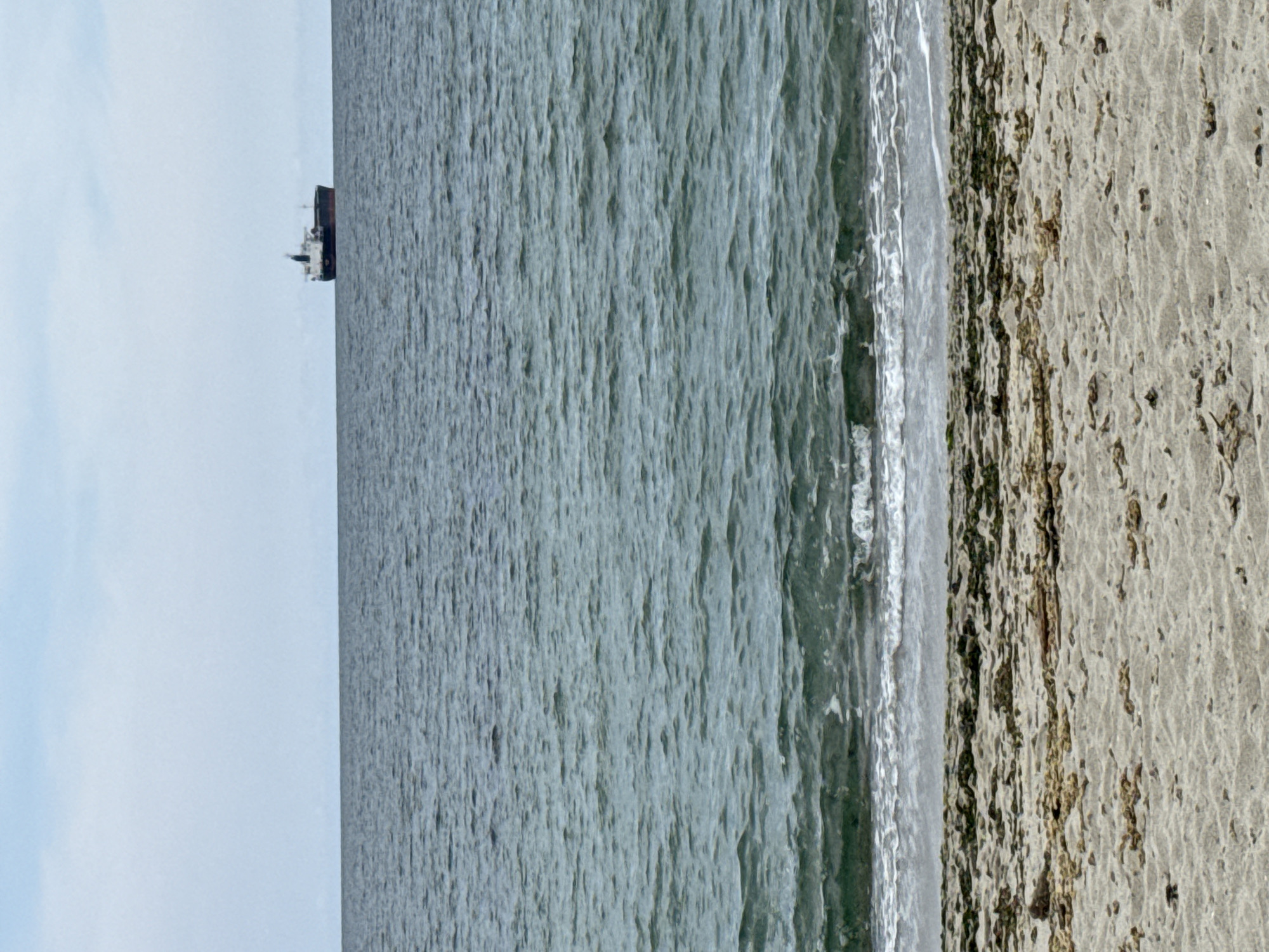 The image presents a view of the Black Sea coast in Varna, Bulgaria, featuring a sandy beach on the right, the sea occupying the central portion, and a distant ship near the horizon on the left. The beach is composed of light-colored sand with scattered dark debris or vegetation. The water is light greenish gray with wave action near the shoreline creating a white foam line. The sky is a pale blue, bordering on white, and appears overcast. A cargo ship is seen near the horizon.