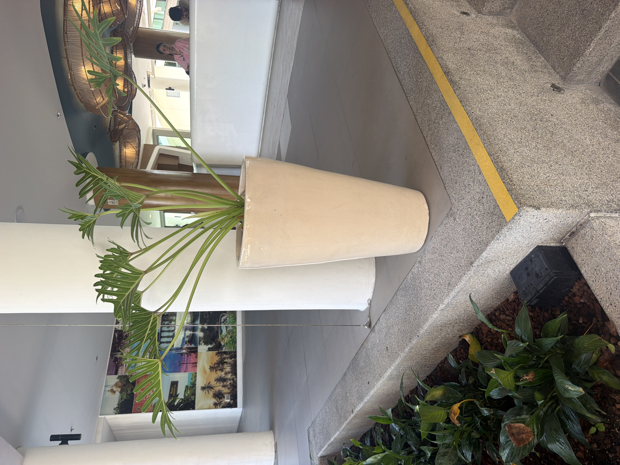 The image depicts the interior of a hotel lobby or reception area in Baan Chaweng, Thailand. In the foreground, a large, cream-colored, tapered planter holds a leafy green plant. The planter sits on a gray tiled floor adjacent to a concrete planter box filled with dark mulch and green plants, some of which show signs of yellowing or browning. A small black electrical box is visible within the concrete planter. A yellow tactile warning strip runs along the edge of a gray concrete staircase to the right. Behind the foreground, a large white pillar is prominent, with a multi-panel artwork featuring tropical scenes on the wall to the left. In the background, a white reception desk is visible with two people behind it. One person, wearing a pink top, appears to be interacting with a guest. Two large, woven pendant lights hang from the ceiling. The overall environment suggests a modern, tropical-themed hospitality setting.