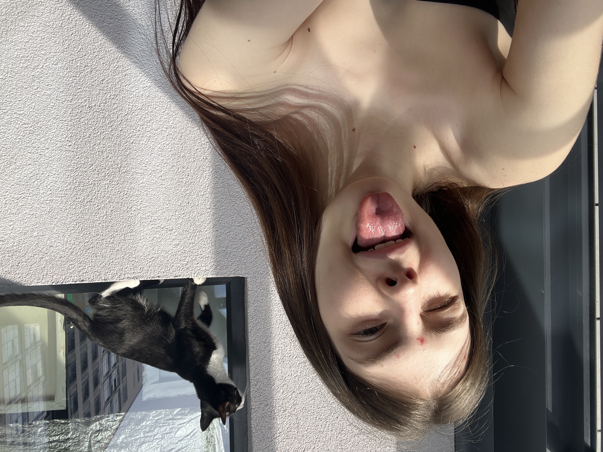 A topsy-turvy selfie shows a young woman sticking out her tongue. She has light skin, long brown hair, and is wearing a black top. Her head is tilted towards the right side of the frame. A black and white cat is visible in a window on the left side of the frame, its tail raised. The window reflects city buildings, potentially in Saint Petersburg, Russia, and is covered with a metallic-looking material. The background features a textured, light-colored wall, possibly a balcony, and what appears to be a section of a window frame on the right.