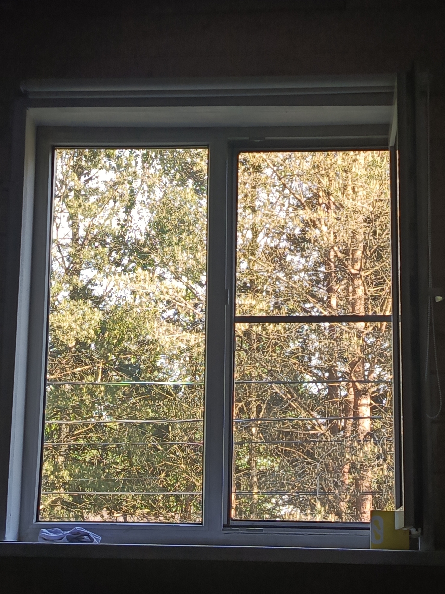 A window, divided into two panes, reveals an outdoor scene dominated by trees. One pane is slightly ajar. A white cloth rests on the windowsill beneath the left pane, while a yellow object is situated under the right pane. The location is in Северный, Russia.