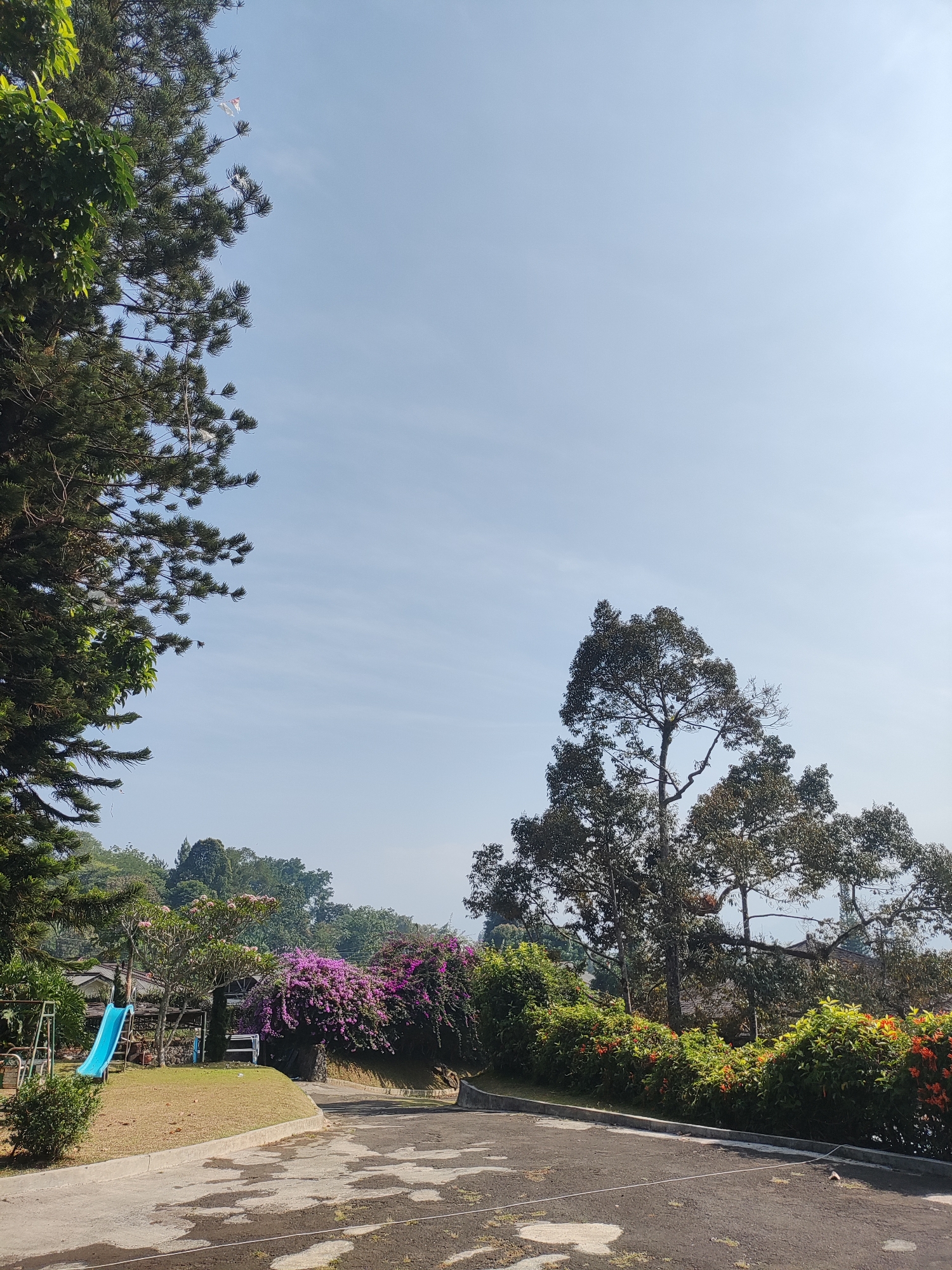 The image depicts a scene in Cisarua, Indonesia, featuring a playground with a blue slide and swings. The area is surrounded by lush greenery, including trees with dense foliage and vibrant purple and orange flowers. A paved pathway, wet in patches, leads through the scene, suggesting recent rain or watering. In the background, a building with a traditional Indonesian architectural style is visible amongst the trees. The sky is clear and bright blue, indicating a sunny day. The overall atmosphere is serene and picturesque, typical of a resort or recreational area in the Cisarua region.