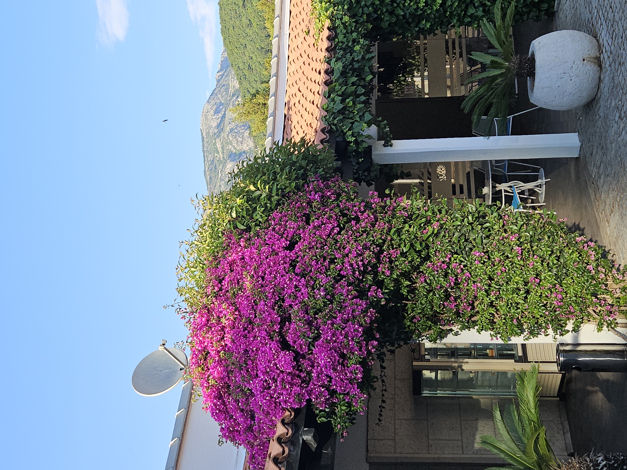 The image shows a building adorned with vibrant purple bougainvillea flowers. The building has a terracotta tile roof, and sections are covered in green foliage. A satellite dish is attached to the building's facade. In the background, there is a mountain range under a clear blue sky. The city is unknown. The scene appears to be a residential or commercial area with well-maintained landscaping.