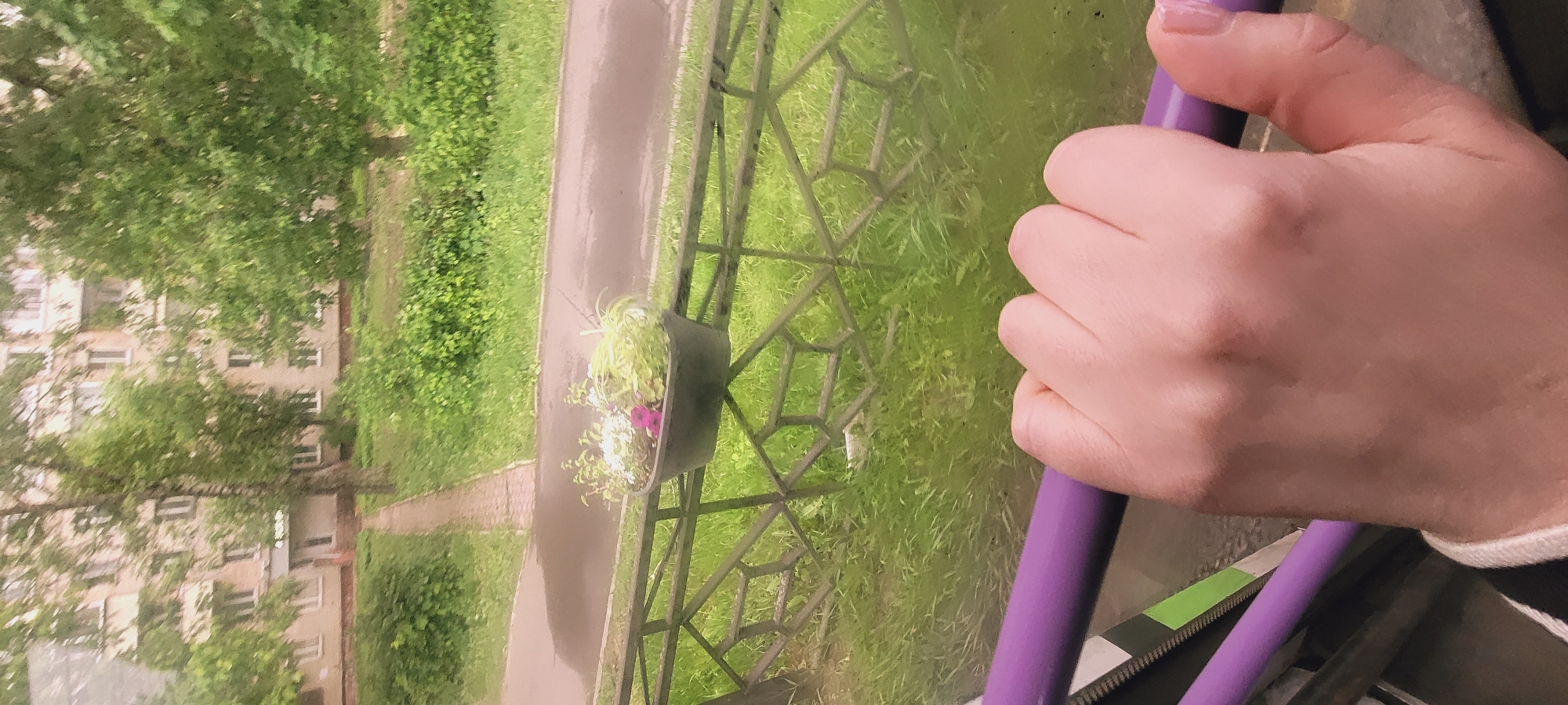A view from a window shows a green lawn and foliage surrounding a building in the background, located in the city of Unknown, Unknown. A metal fence with a geometric pattern encloses the lawn. A dark pot filled with flowers is affixed to the fence. A hand is holding onto a purple railing within the foreground.