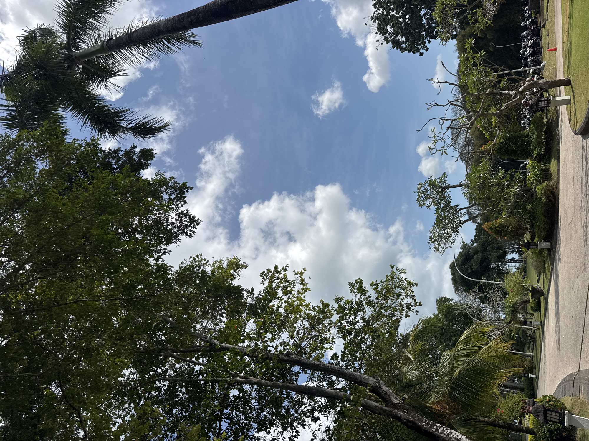 The image depicts a paved pathway winding through a lush, tropical landscape with various trees and vegetation. Tall trees, including a prominent palm tree, dominate the upper portion of the frame, with their branches reaching towards a bright blue sky dotted with fluffy white clouds. The pathway is lined with decorative lamps and low-lying bushes. In the background, a large number of motorcycles are parked, suggesting a public area or facility. The overall setting appears to be a park or resort in Kuta Selatan, Indonesia, characterized by its abundant greenery and tropical ambiance.