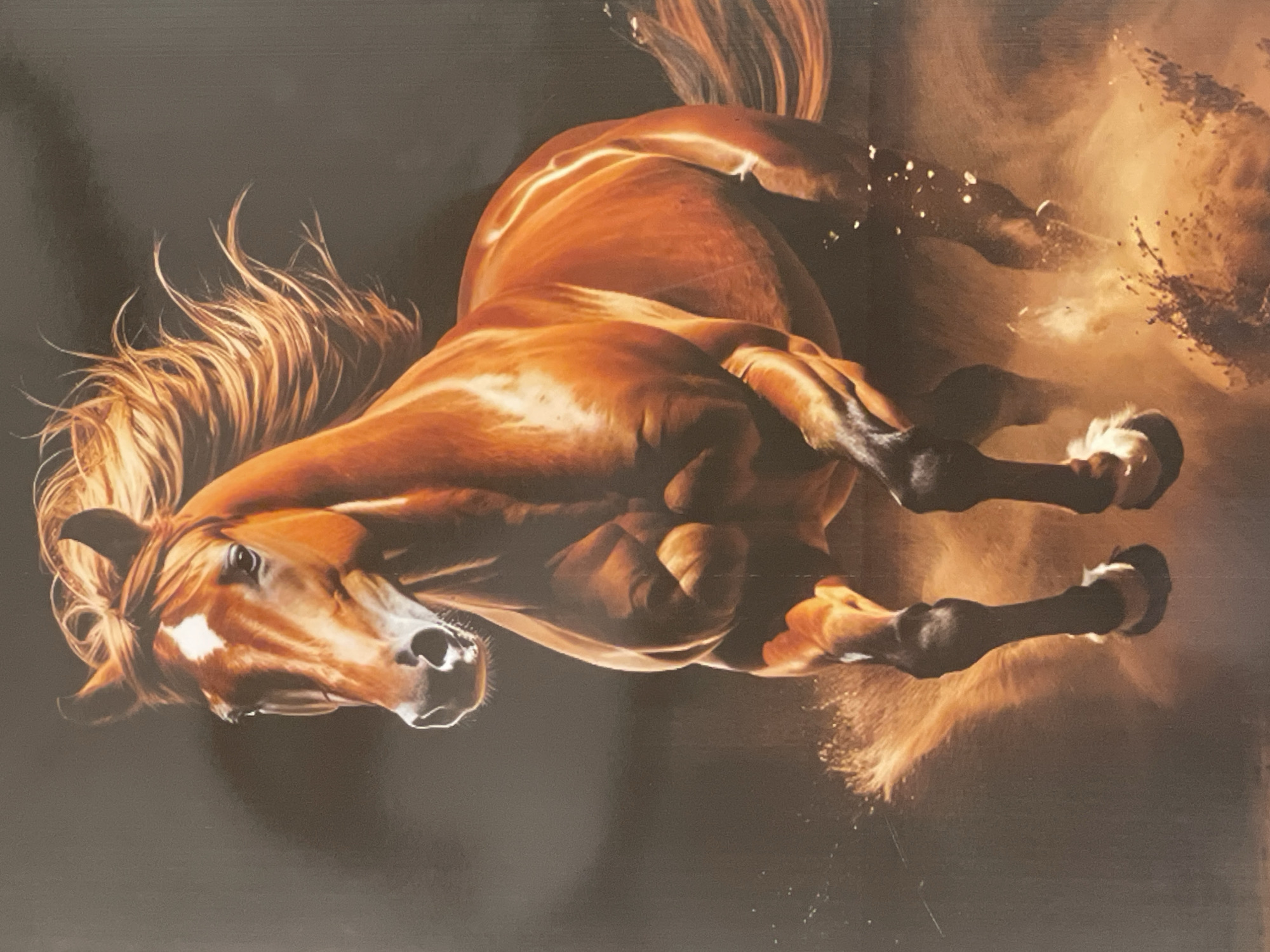 The image depicts a chestnut-colored horse in motion against a dark background. The horse is rearing up, with its front legs extended and hooves kicking up dust or dirt. Its head is turned slightly to the left, mane flowing. The horse's coat is shiny with areas of light reflecting off its body. The background is a uniform dark color, creating a dramatic contrast and highlighting the horse's movement. The location is not identifiable as being in Television, Nigeria, as the scene lacks any specific geographic or cultural context. There are no other subjects or objects in the image.