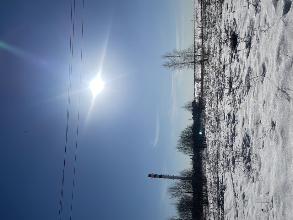 This image depicts an open, snow-covered landscape under a clear, bright blue sky in Fabriki 1 maya, Russia, on a sunny day.
The sky occupies the upper two-thirds of the frame, featuring a brilliant, undiffused sun in the upper right quadrant emitting a prominent starburst lens flare and a diagonal sunbeam. Two dark, parallel overhead power lines traverse horizontally across the upper portion of the sky, intersecting the sun's flare. A small, dark, indistinct object is visible high in the upper-left sky. A faint, wispy cloud fragment is present in the mid-left sky.
The foreground, comprising the bottom third of the image, consists of uneven, glistening snow cover with numerous sparse, dry, dark plant stalks protruding through it, casting short shadows to the left. Some areas of less dense snow reveal underlying dark ground.
In the midground, a line of leafless deciduous trees and bushes runs horizontally. To the left, a tall, slender industrial chimney or smokestack stands prominently, painted with alternating horizontal red and white stripes, its top flat. Behind the line of trees, several low-rise buildings with dark roofs are partially visible, suggesting a distant settlement or industrial area. Two slender, bare trees with light-colored bark stand slightly right of center in the midground.
The background shows a flat horizon line with a gentle rise to the right. A faint line, possibly railway tracks or distant power lines, is visible stretching horizontally across the far right background. No people or animals are present.