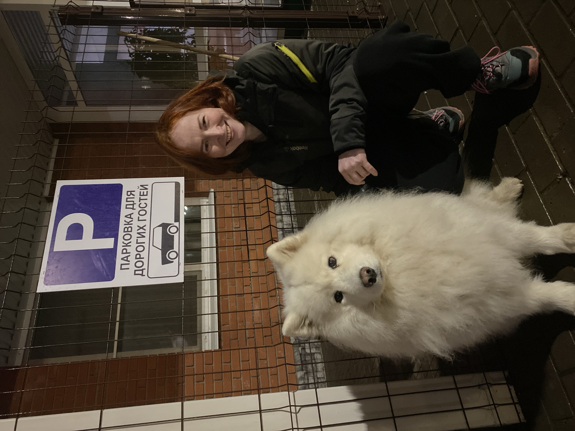 A woman with red hair smiles at the camera while sitting next to a large white Samoyed dog on a paved area in front of a building with a brick facade. A blue and white parking sign in Russian with the image of a car is affixed to a fence. The woman is wearing a dark jacket with a yellow stripe and black pants. Her shoes are pink and blue. The dog is lying down and looking directly at the camera. Based on the parking sign's language and other visible elements, the location is likely in Russia, specifically Chaikovsky.