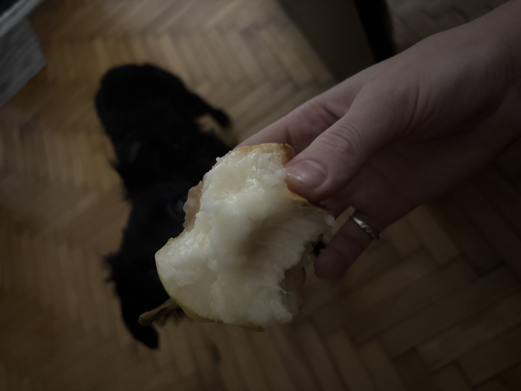 The image captures a close-up of a person's hand holding a partially eaten piece of fruit, likely an apple or pear, revealing its light-colored, juicy flesh. A silver-toned ring is visible on the ring finger of the hand. In the background, a large, black, fluffy dog is partially visible, blurred and out of focus, suggesting movement or distance. The scene is set indoors on a wooden parquet floor, arranged in a herringbone pattern. The lighting is dim throughout the image, indicating an evening or low-light indoor environment. No text is visible. The scene portrays a casual moment, possibly a person snacking with their pet nearby. The location context is Buenos Aires, Argentina, though no specific visual elements within the image directly confirm this.