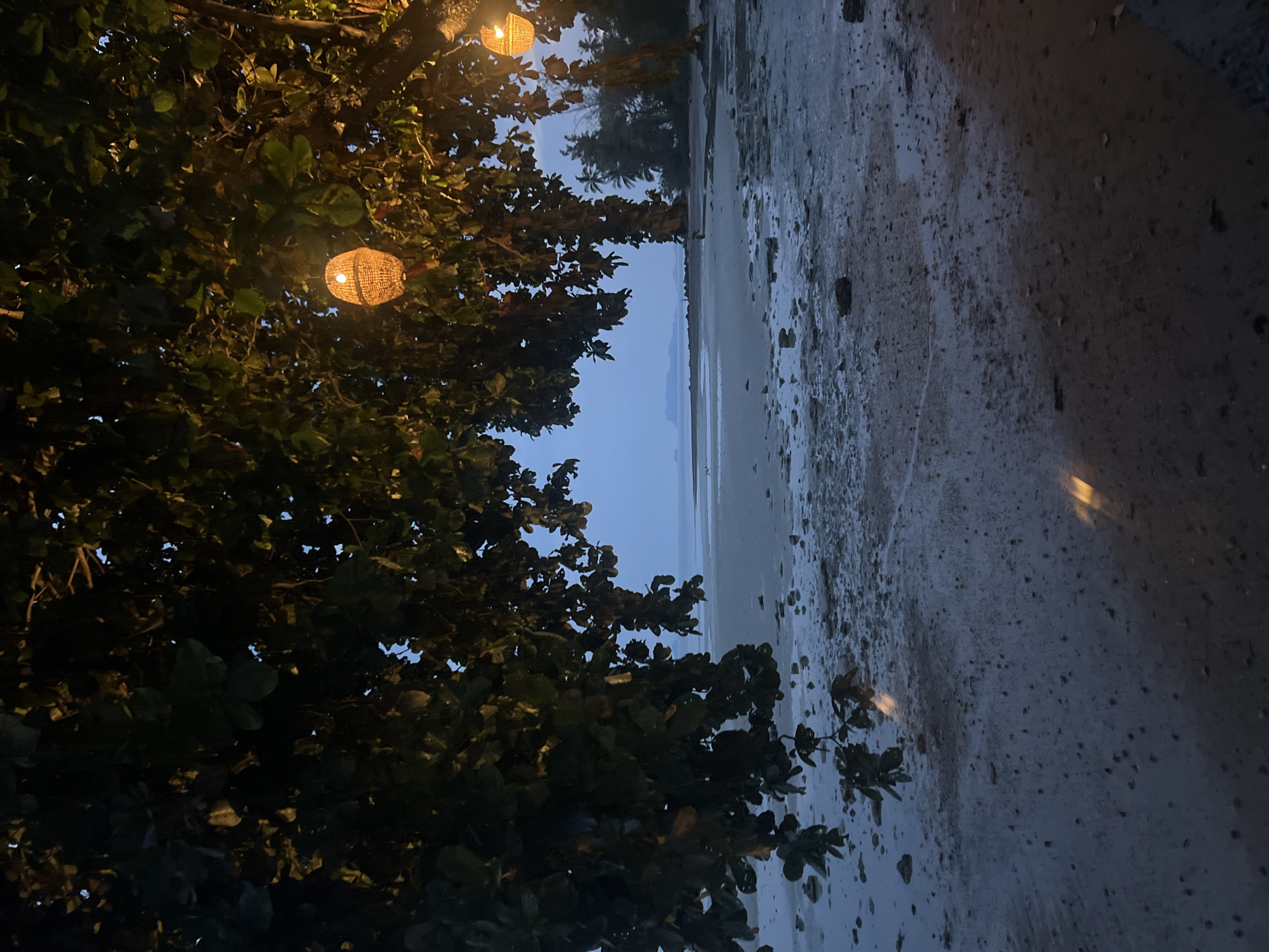 The image depicts a night scene at a beach in Baan Thong Po, Thailand. In the foreground, a tree with illuminated, woven-style lanterns hangs. The background showcases a beach landscape with the tide out, revealing a mixture of wet sand and mudflats. The sky transitions from a light blue horizon to a darker hue. An adjacent street or paved area is visible along the edge of the beach. The image is rotated 90 degrees clockwise.