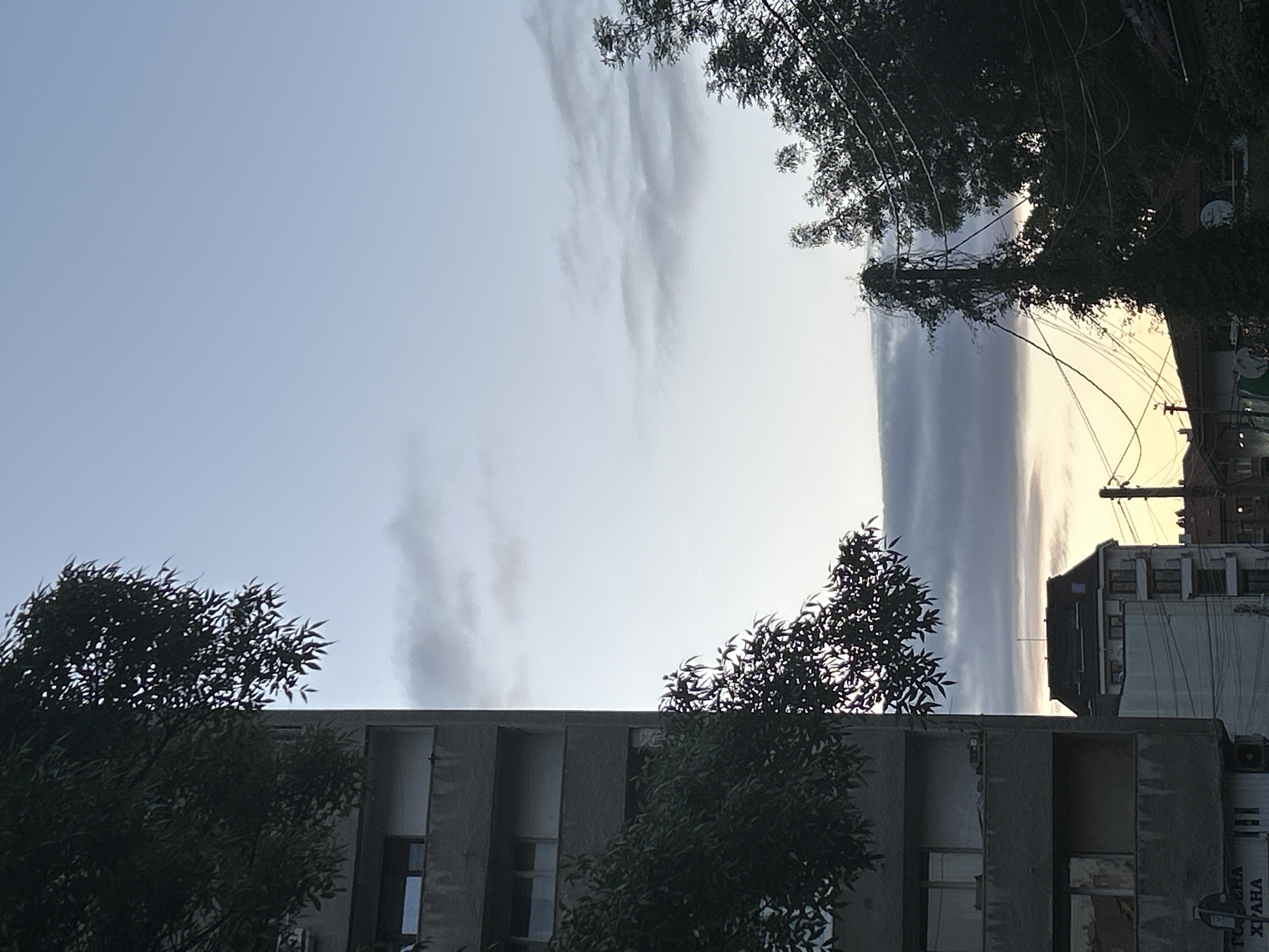 The image shows an urban scene in Sofia, Bulgaria, taken from a low angle looking upwards. A drab, concrete apartment building occupies the lower portion of the frame. Trees with dense foliage partially obscure the building's facade. Above the building and trees, the sky is visible with a mix of clear areas and linear cloud formations. In the upper right corner, another building is visible, appearing older with visible electrical lines. The lighting suggests either dawn or dusk. A sign in Bulgarian is partially visible on the right.