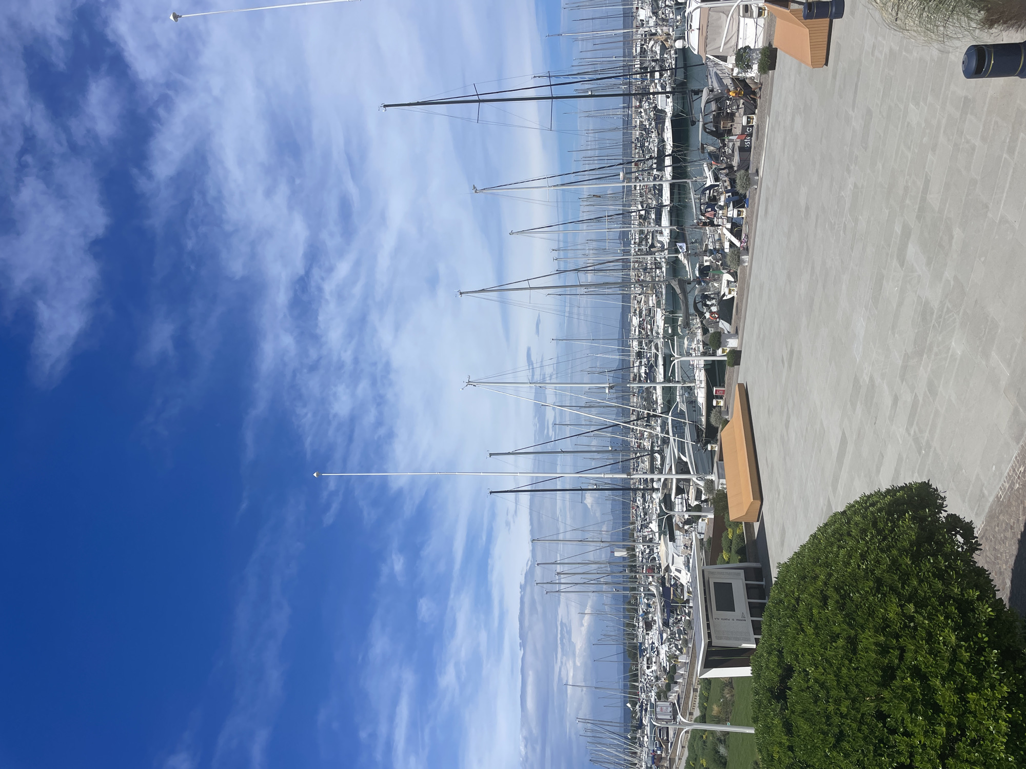 The image depicts a marina in Punta Ala, Italy, on a clear day with a blue sky and scattered white clouds. The foreground features a paved plaza with a large, manicured green bush on the left and two modern, orange wooden benches. To the right of the bush is a white structure with a screen, possibly an information display, and to the right of that, one of the orange benches.
The middle ground is dominated by a vast expanse of docked sailboats and yachts, their masts creating a dense forest of vertical lines against the sky. The boats are closely packed, indicating a busy marina. Some smaller vessels and piers are visible between the larger yachts.
In the background, a low-lying coastline with vegetation and buildings is faintly visible under the bright sky. The overall impression is one of a well-maintained and active nautical resort. There are no discernible people actively engaged in any specific actions within the frame.